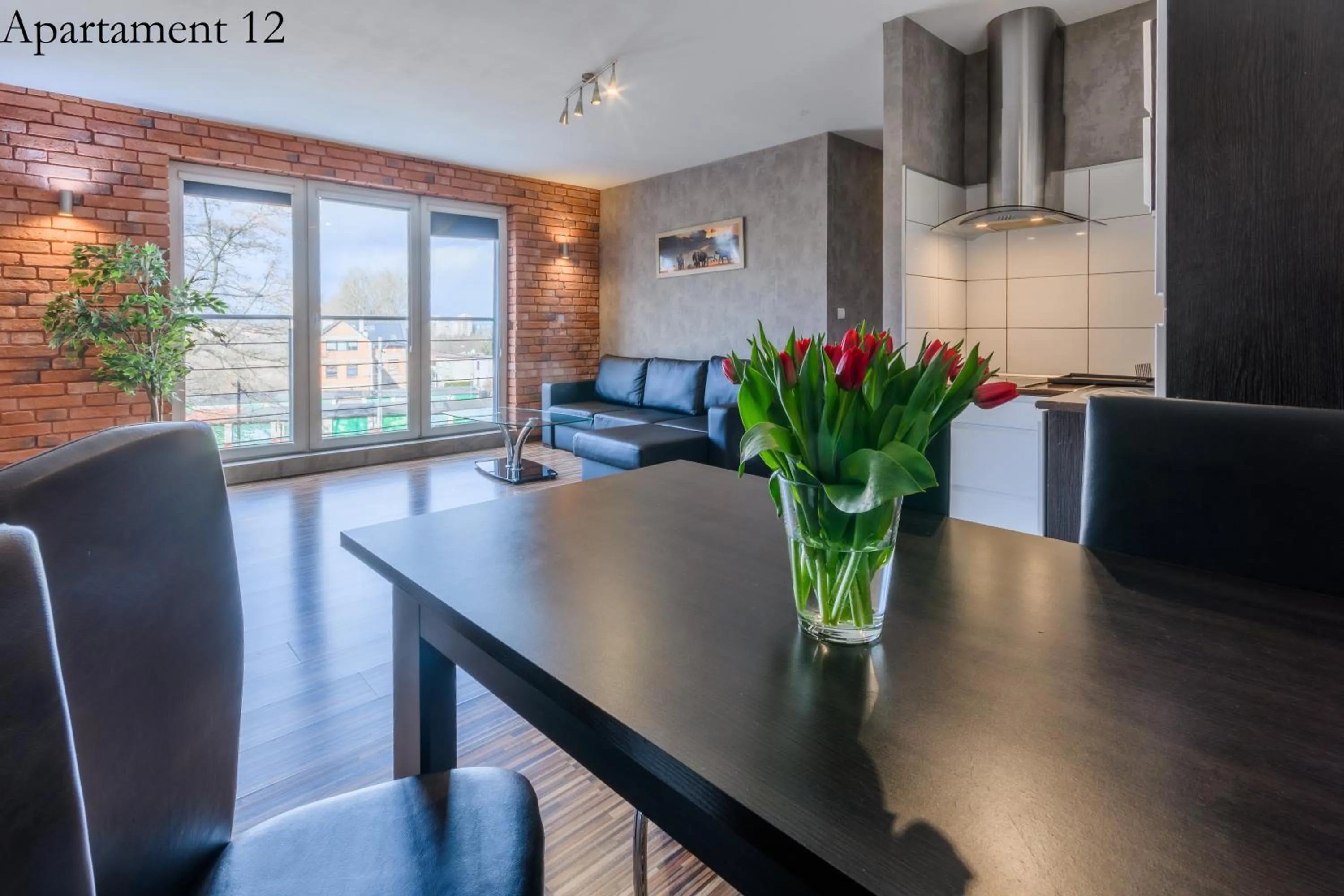 Kitchen or kitchenette in Apartamenty Katowice by Lantier - Bytom - Chorzów