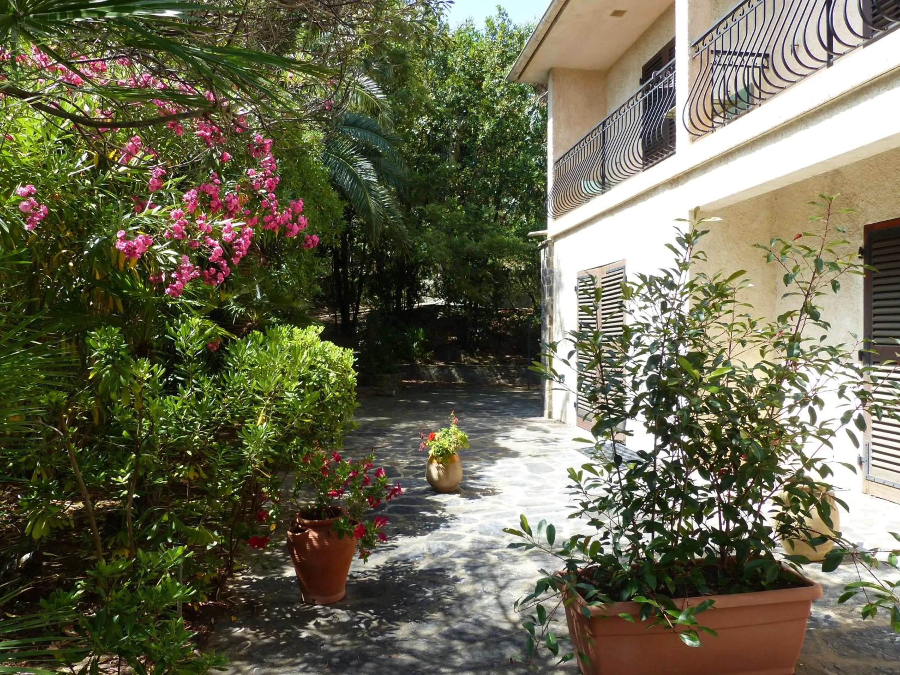 Garden in Hôtel Cap Soleil