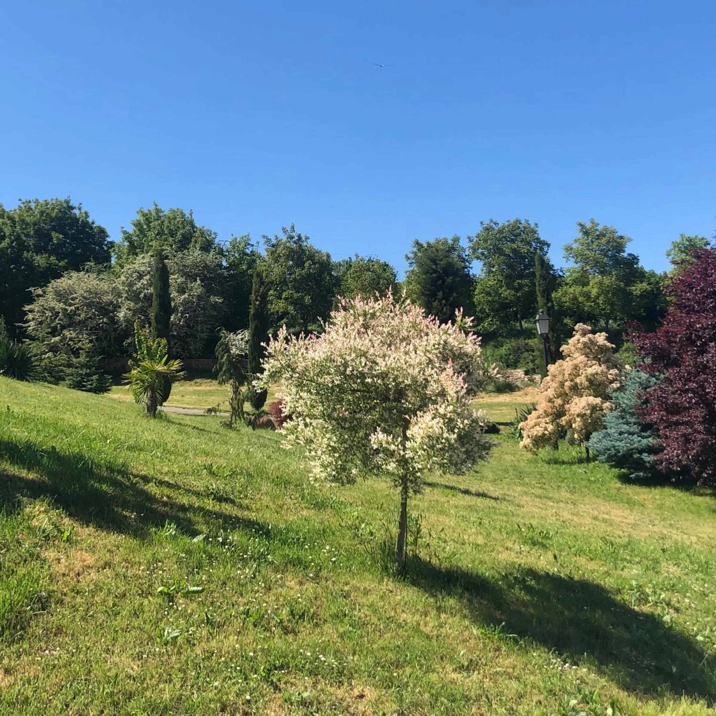 Garden in Hotel San Antón Abad