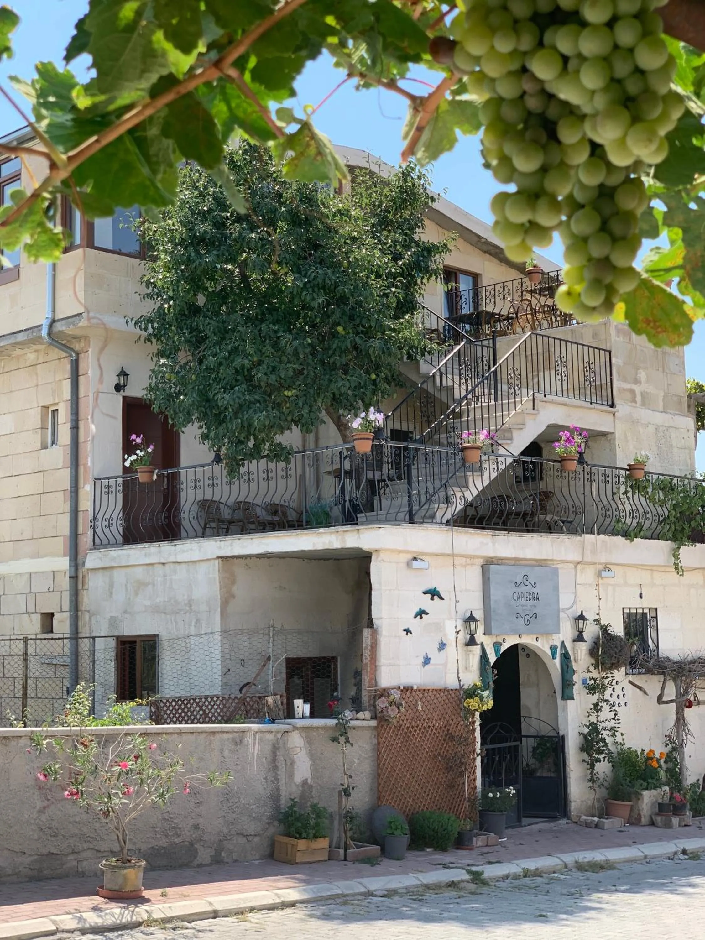 Property building in Capiedra Hotel