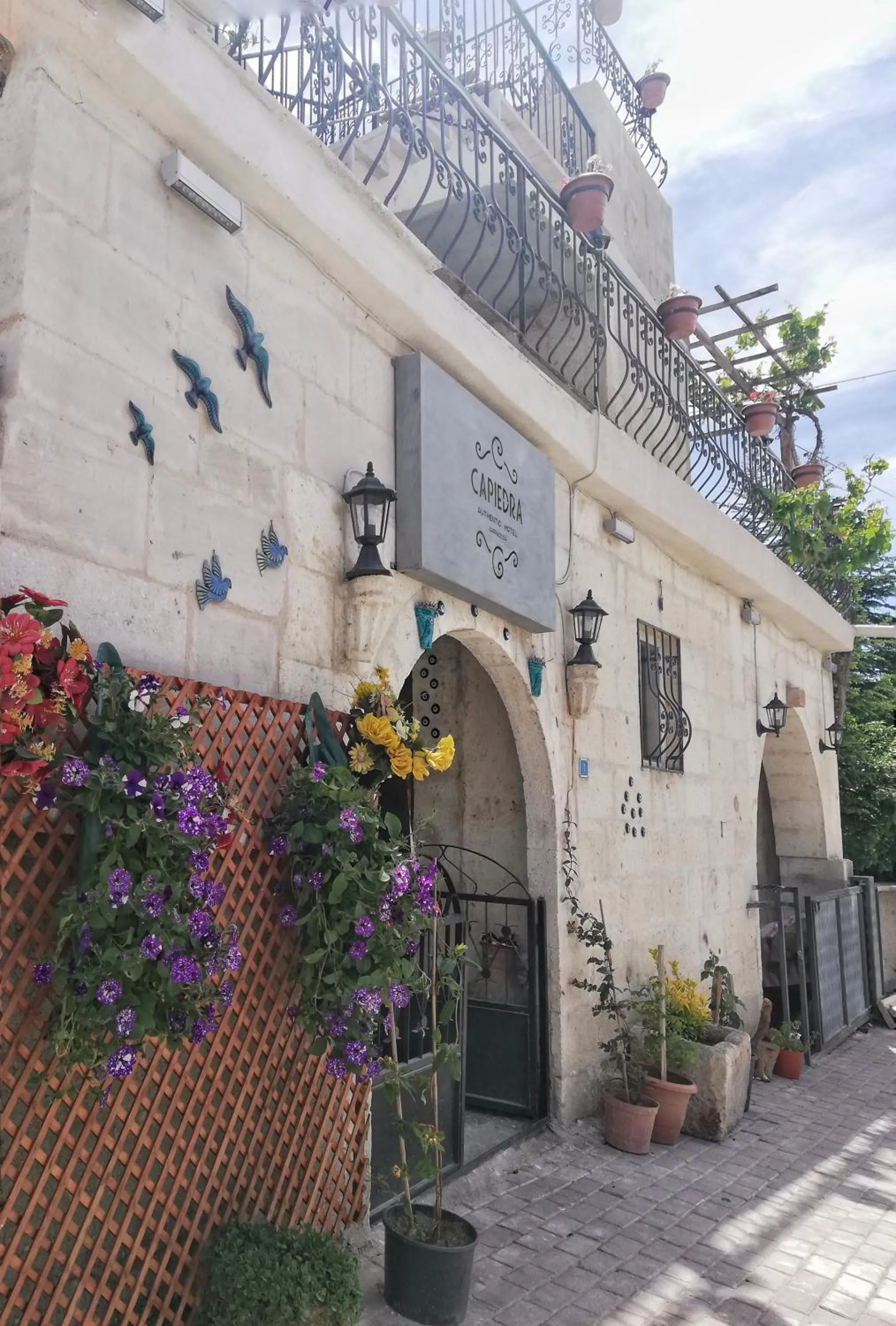 Property building in Capiedra Hotel