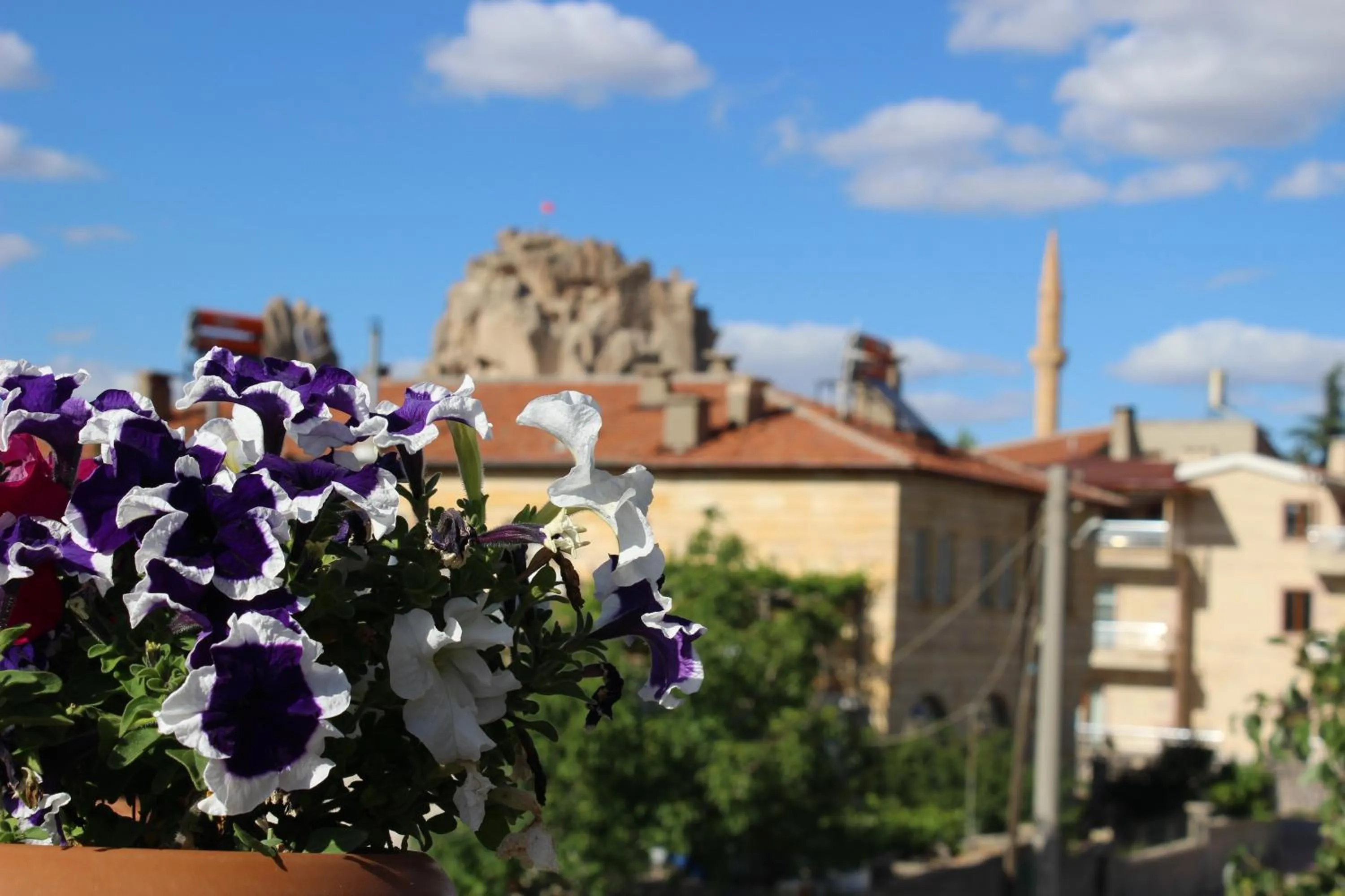 View (from property/room) in Capiedra Hotel
