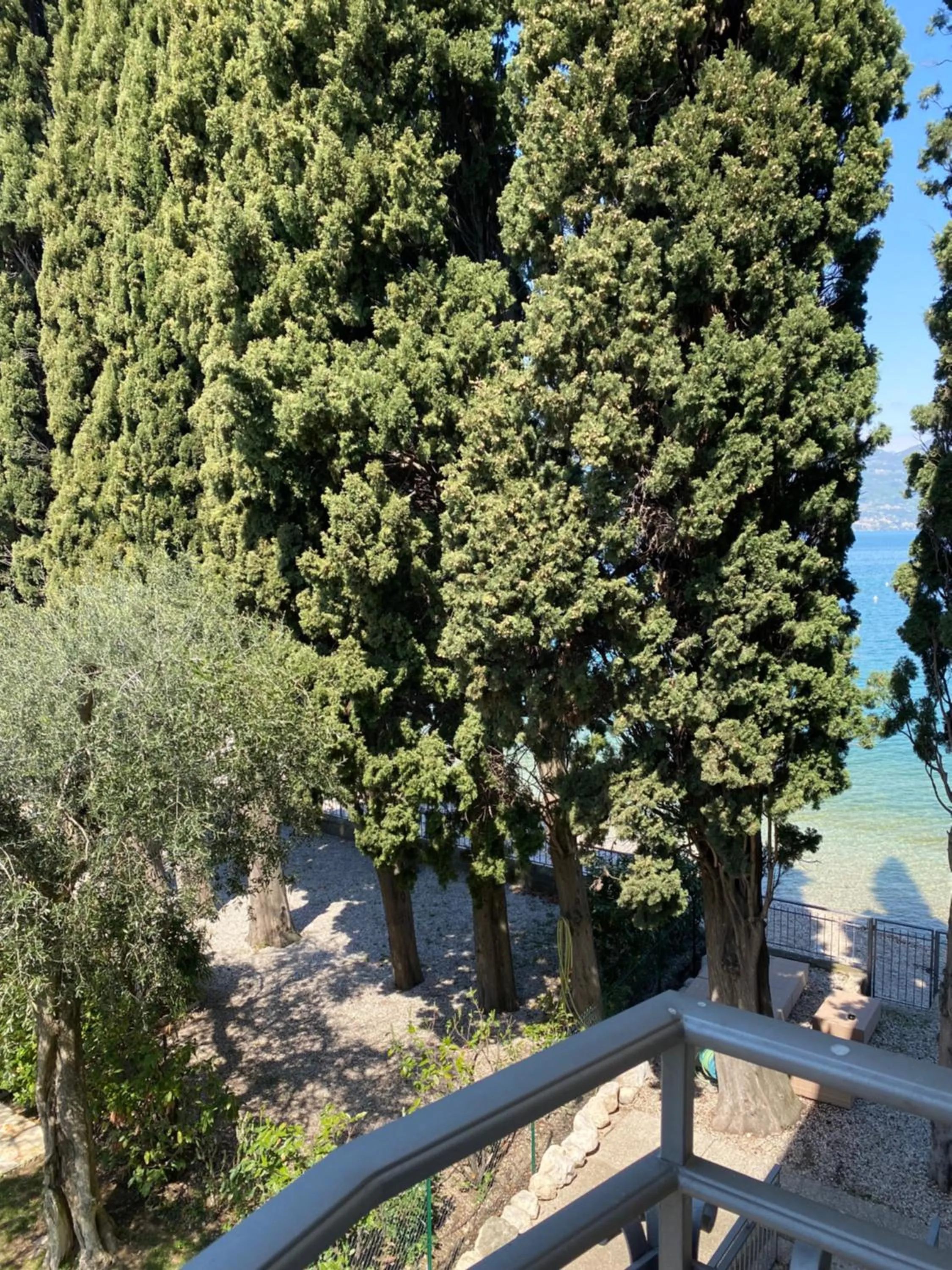 View (from property/room) in Hotel Baia dei Pini