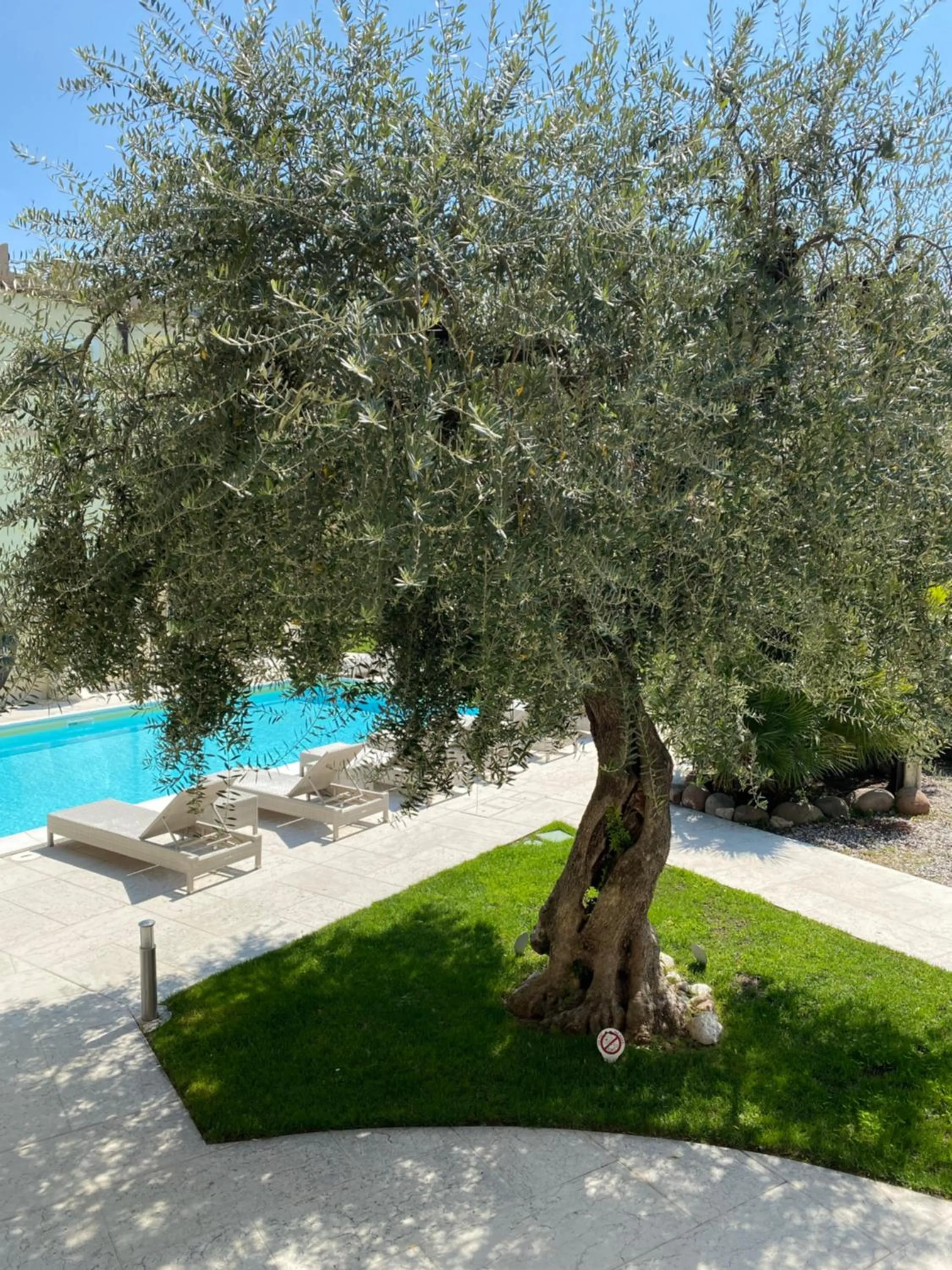 Pool view in Hotel Baia dei Pini