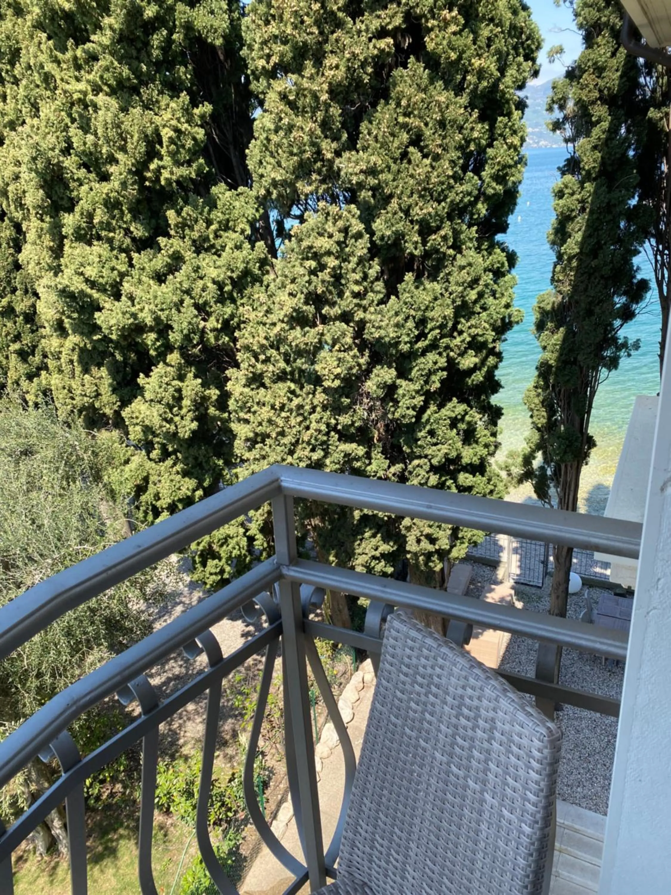 Garden in Hotel Baia dei Pini