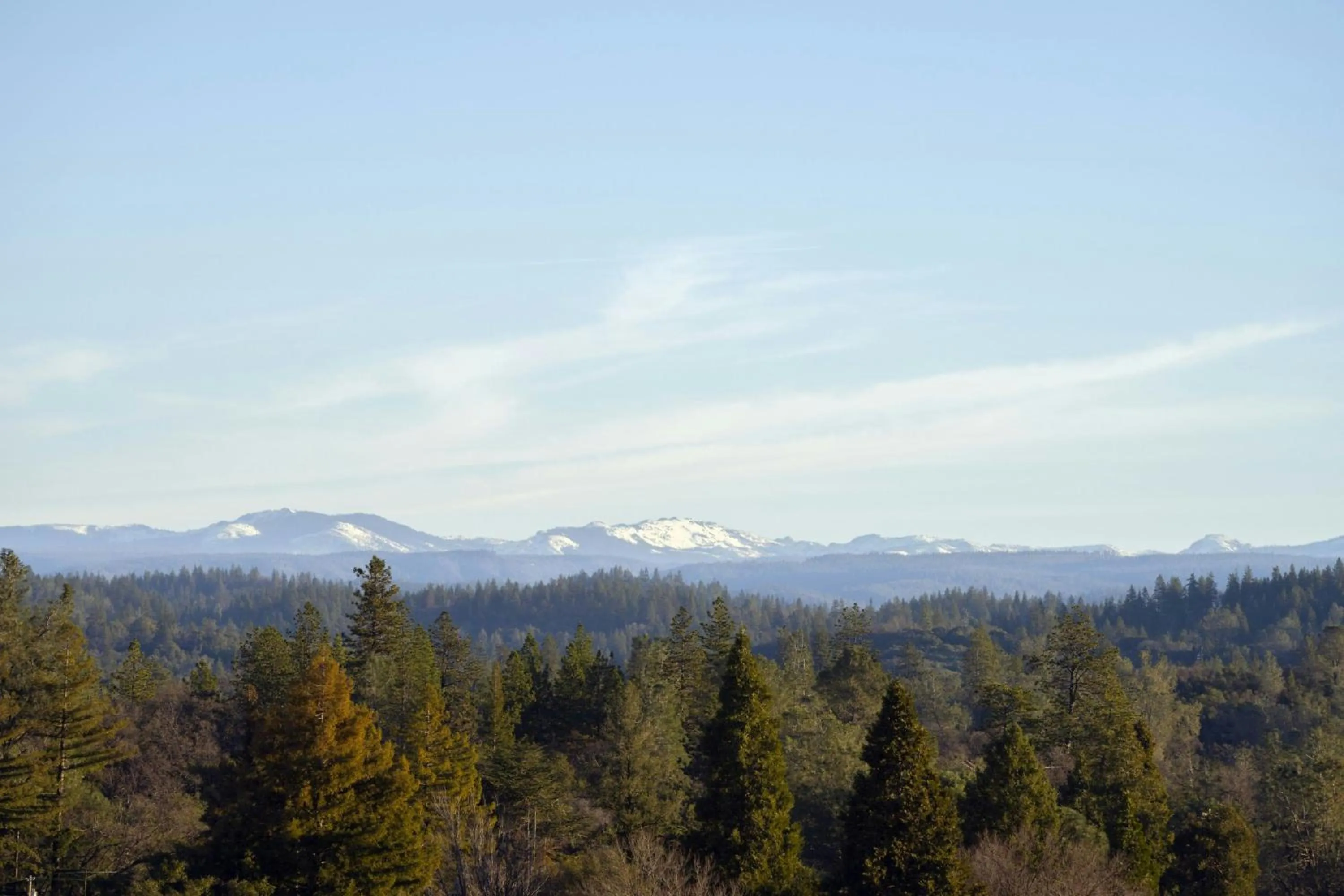 Photo of the whole room in Hotel Vista Sierra