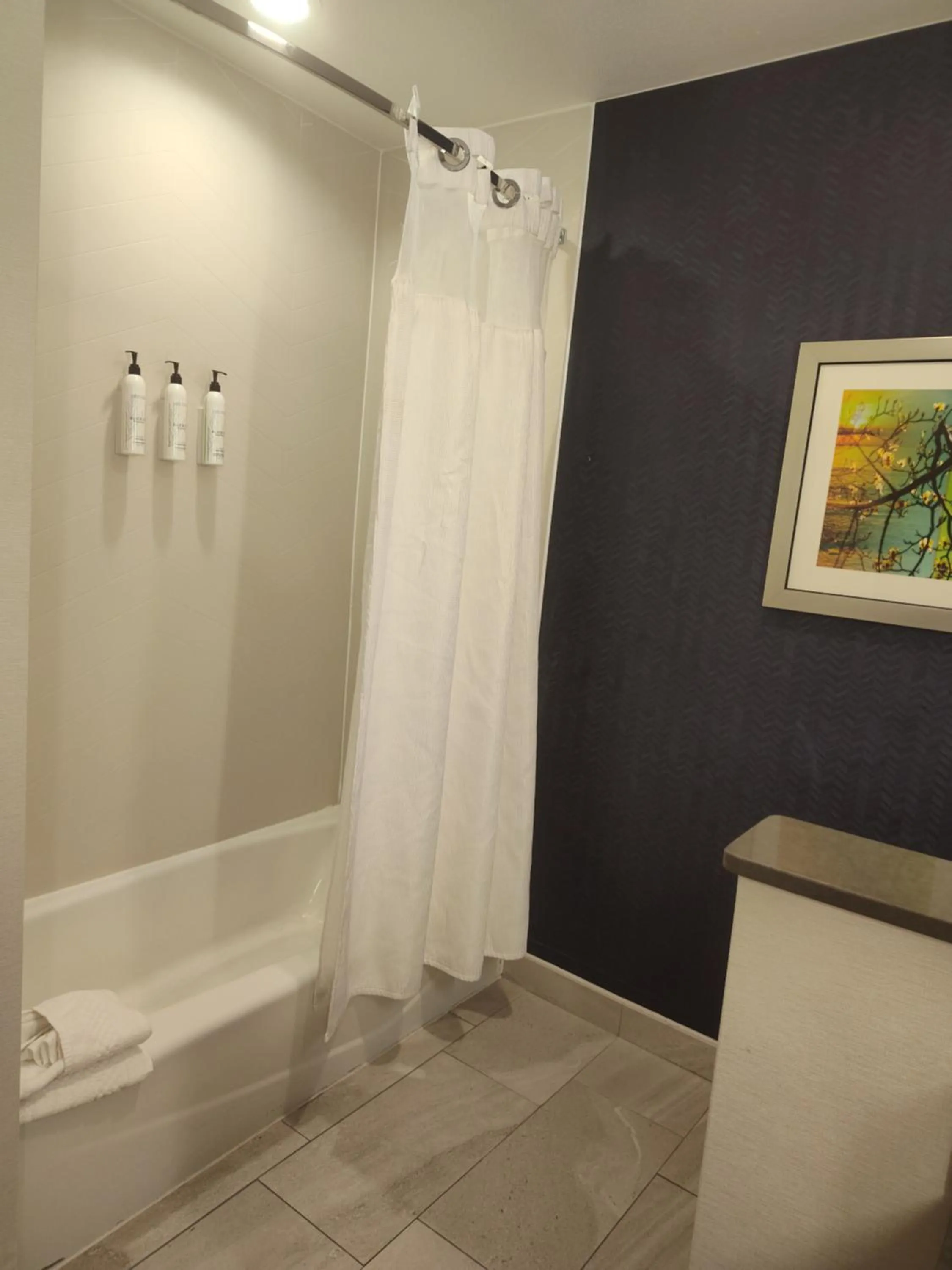 Bathroom in Fairfield Inn & Suites by Marriott Gainesville I-35