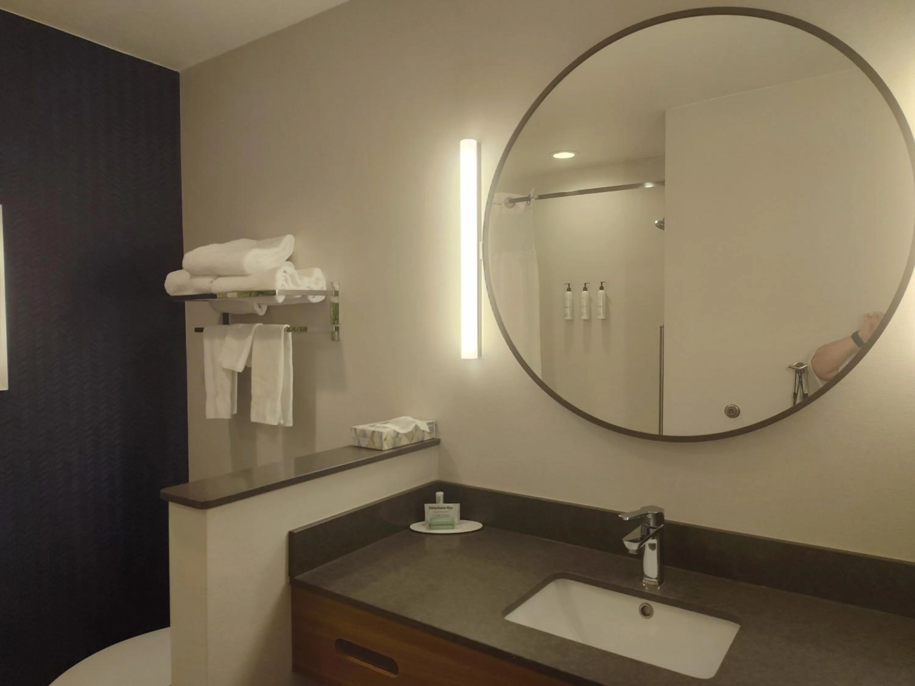 Bathroom in Fairfield Inn & Suites by Marriott Gainesville I-35