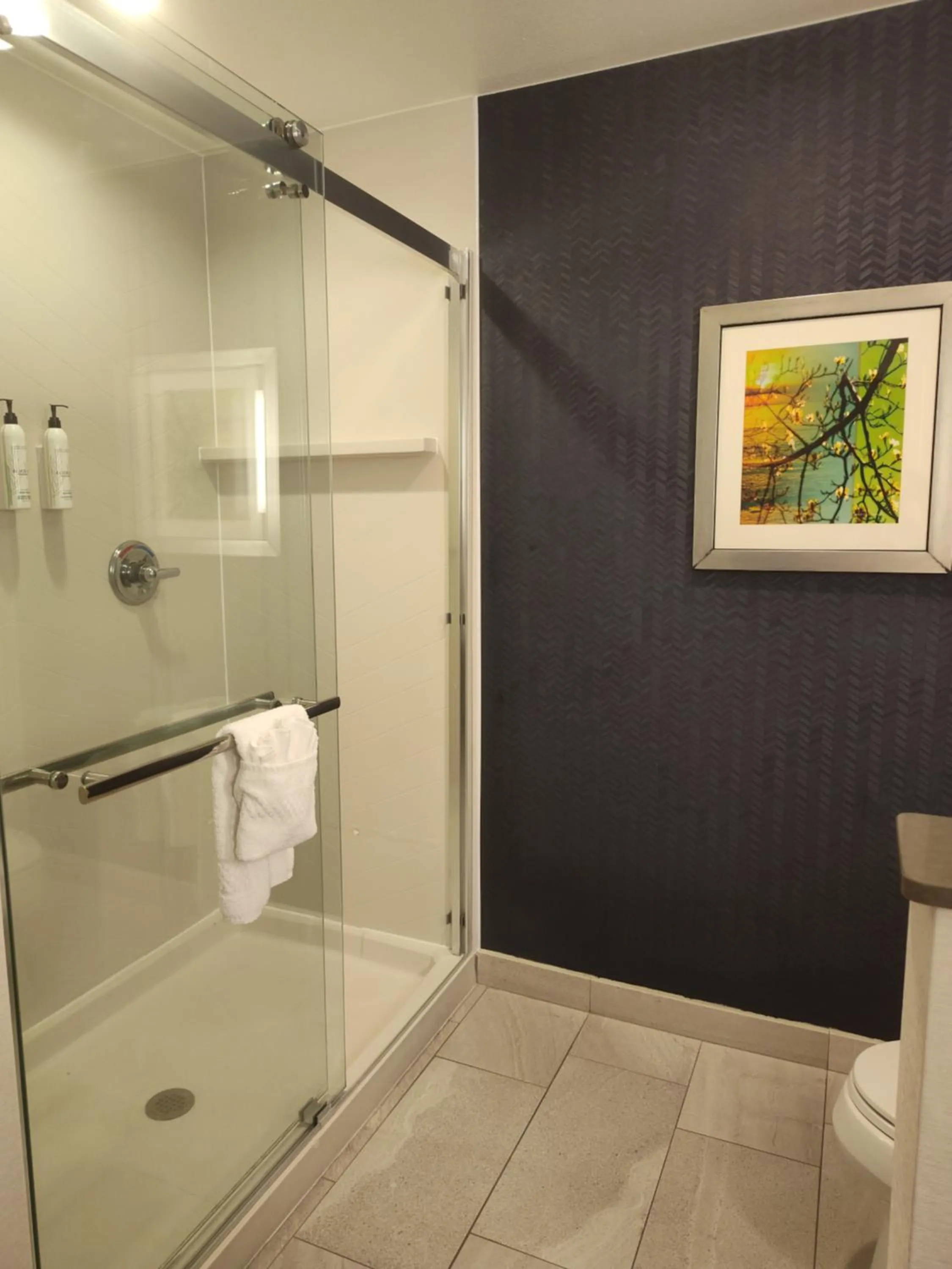 Bathroom in Fairfield Inn & Suites by Marriott Gainesville I-35