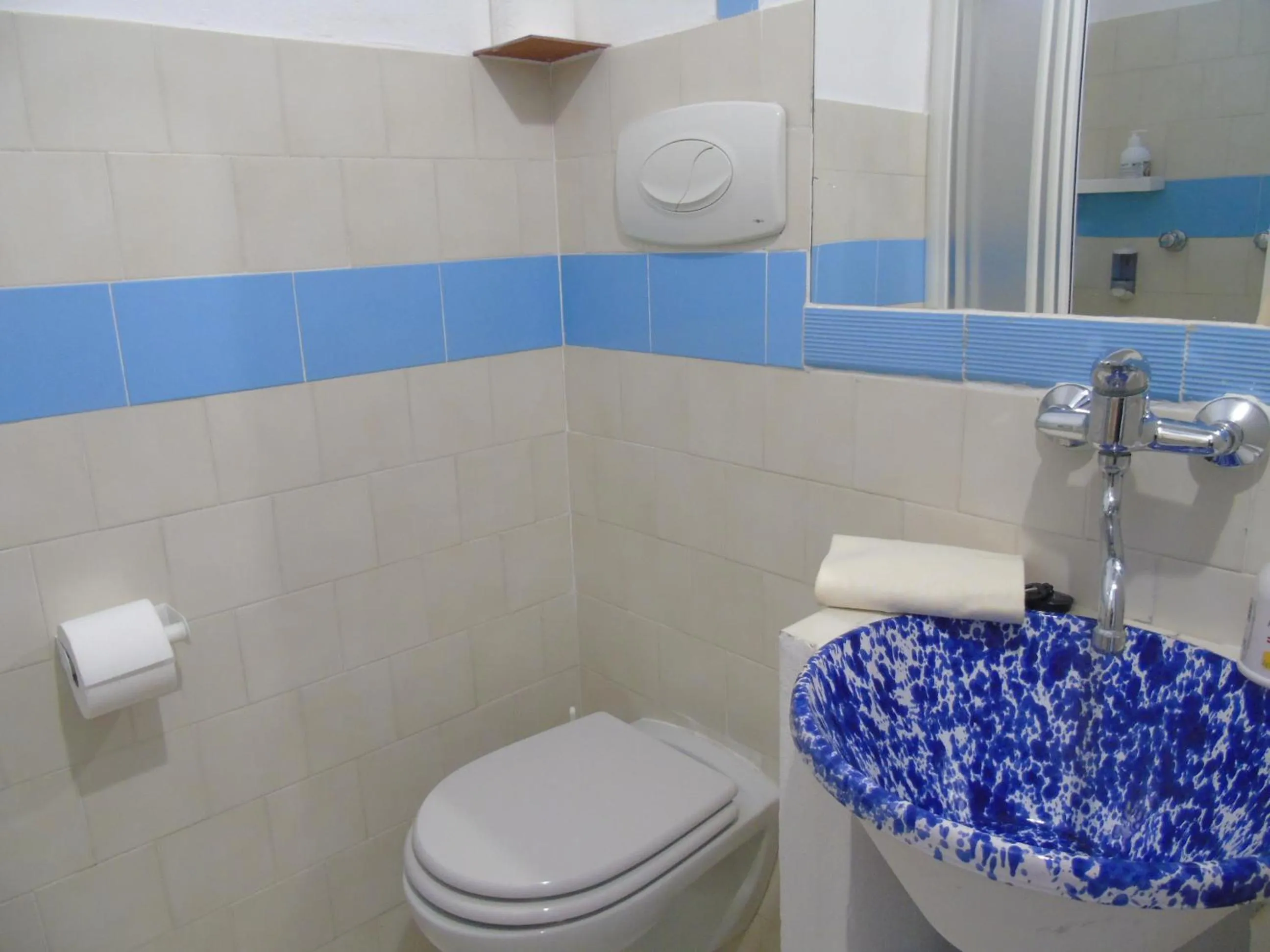 Toilet in Villa Saracina