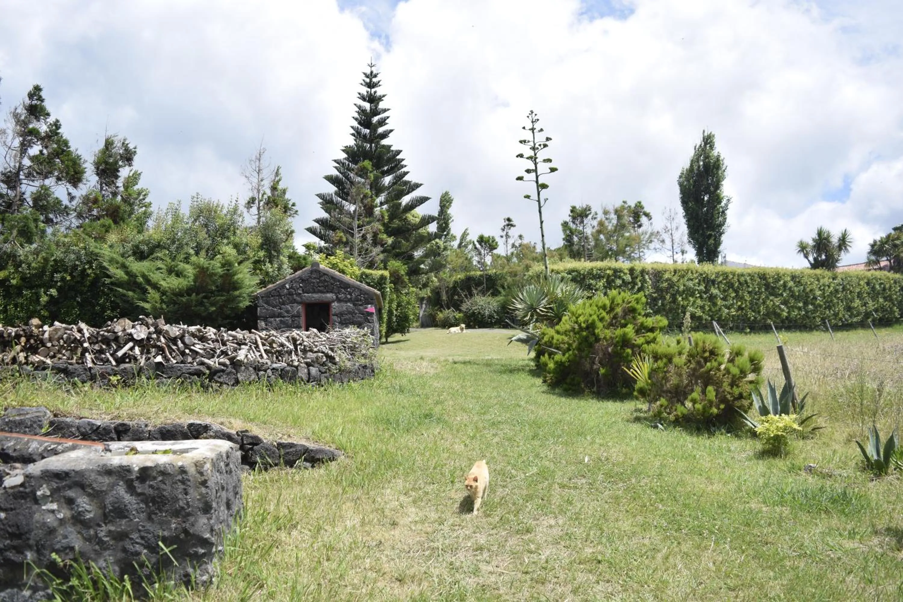 Garden in Quinta da Meia Eira