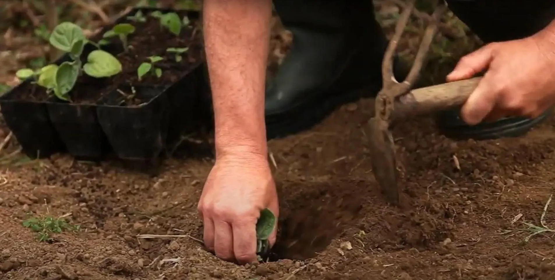Garden in Quinta da Meia Eira