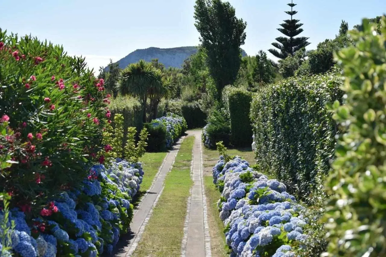 Spring in Quinta da Meia Eira