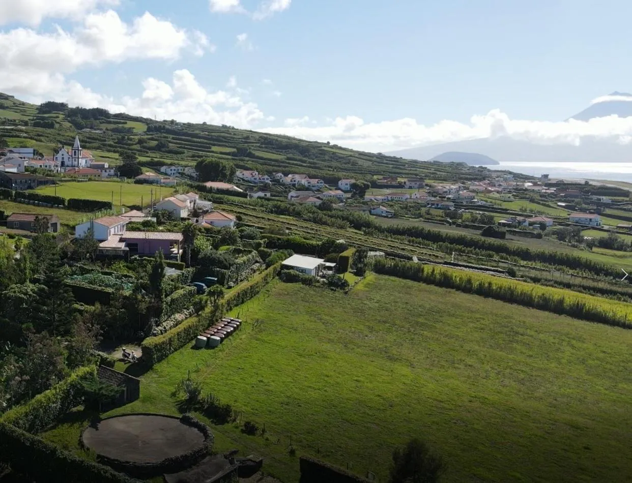 Bird's eye view in Quinta da Meia Eira