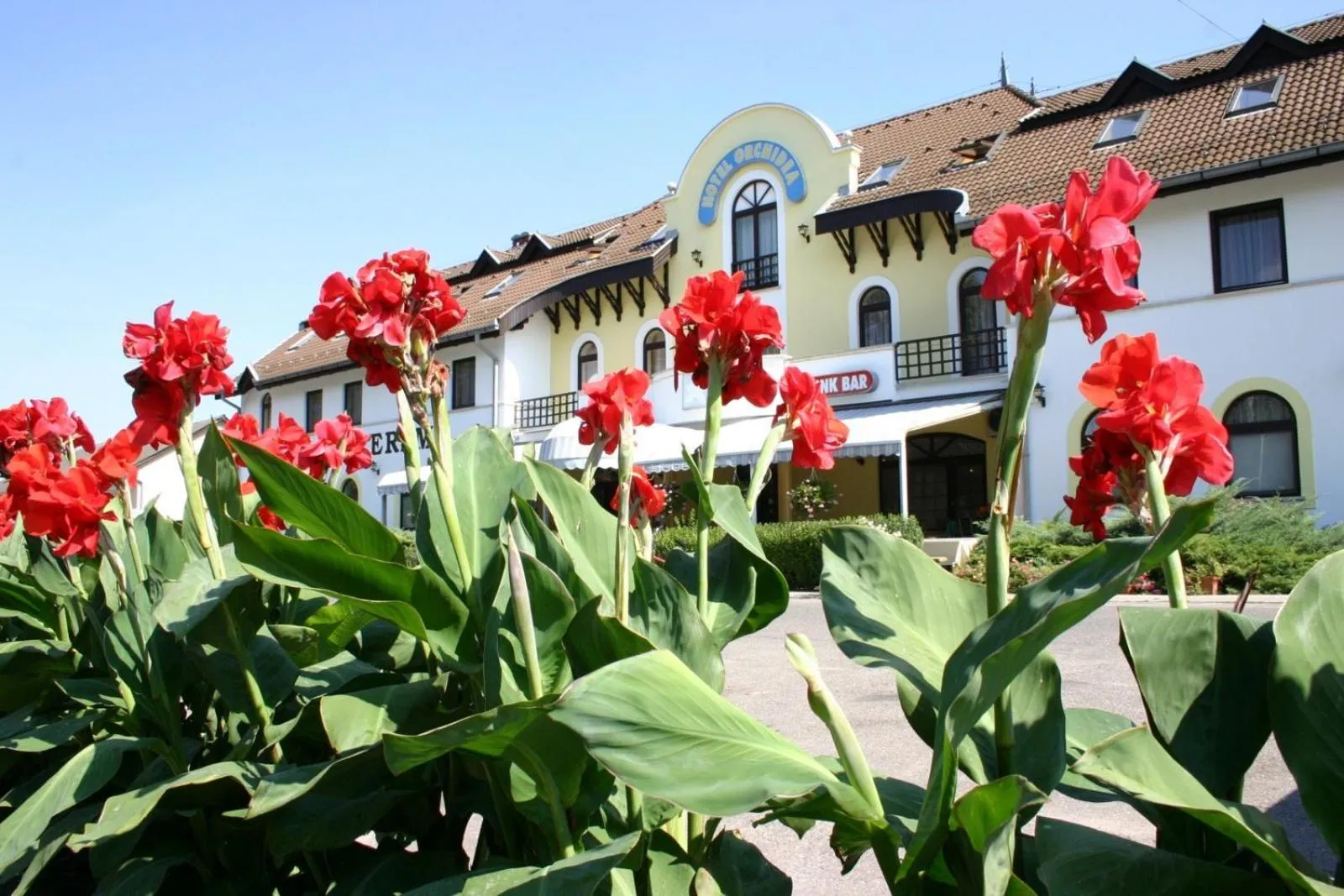 Hotel Orchidea