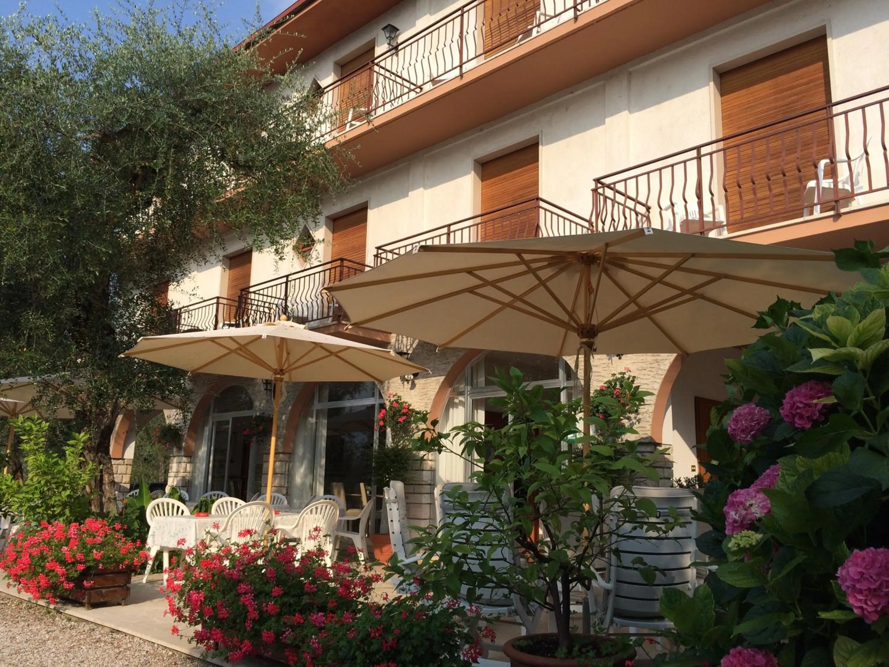 Property building in Hotel Zanetti