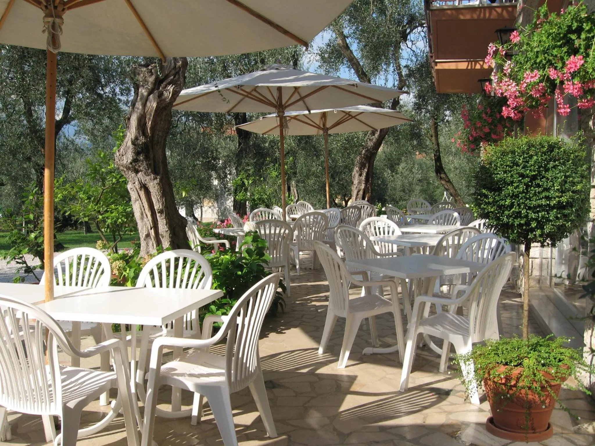 Balcony/Terrace in Hotel Zanetti