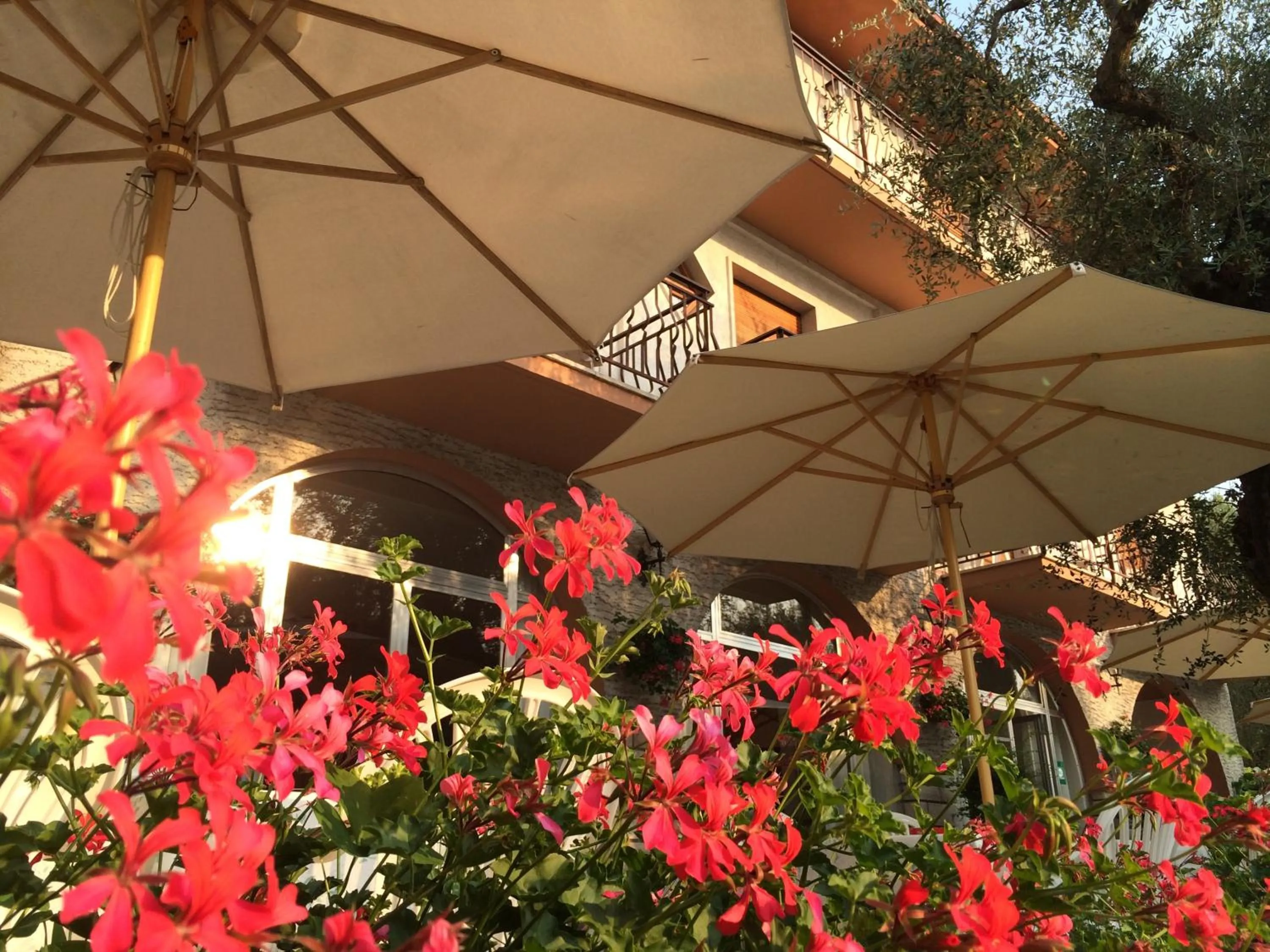 Day in Hotel Zanetti