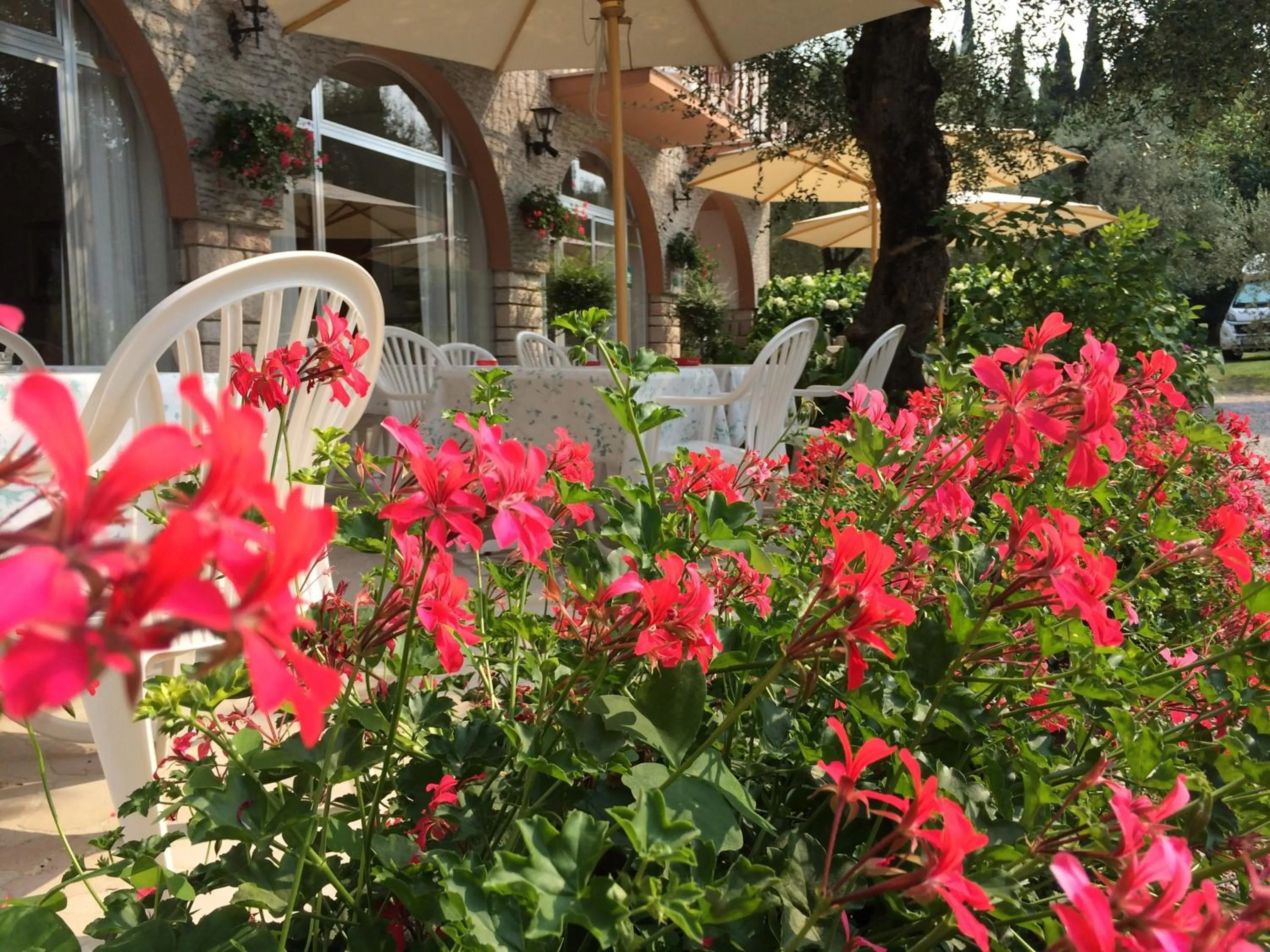 Patio in Hotel Zanetti