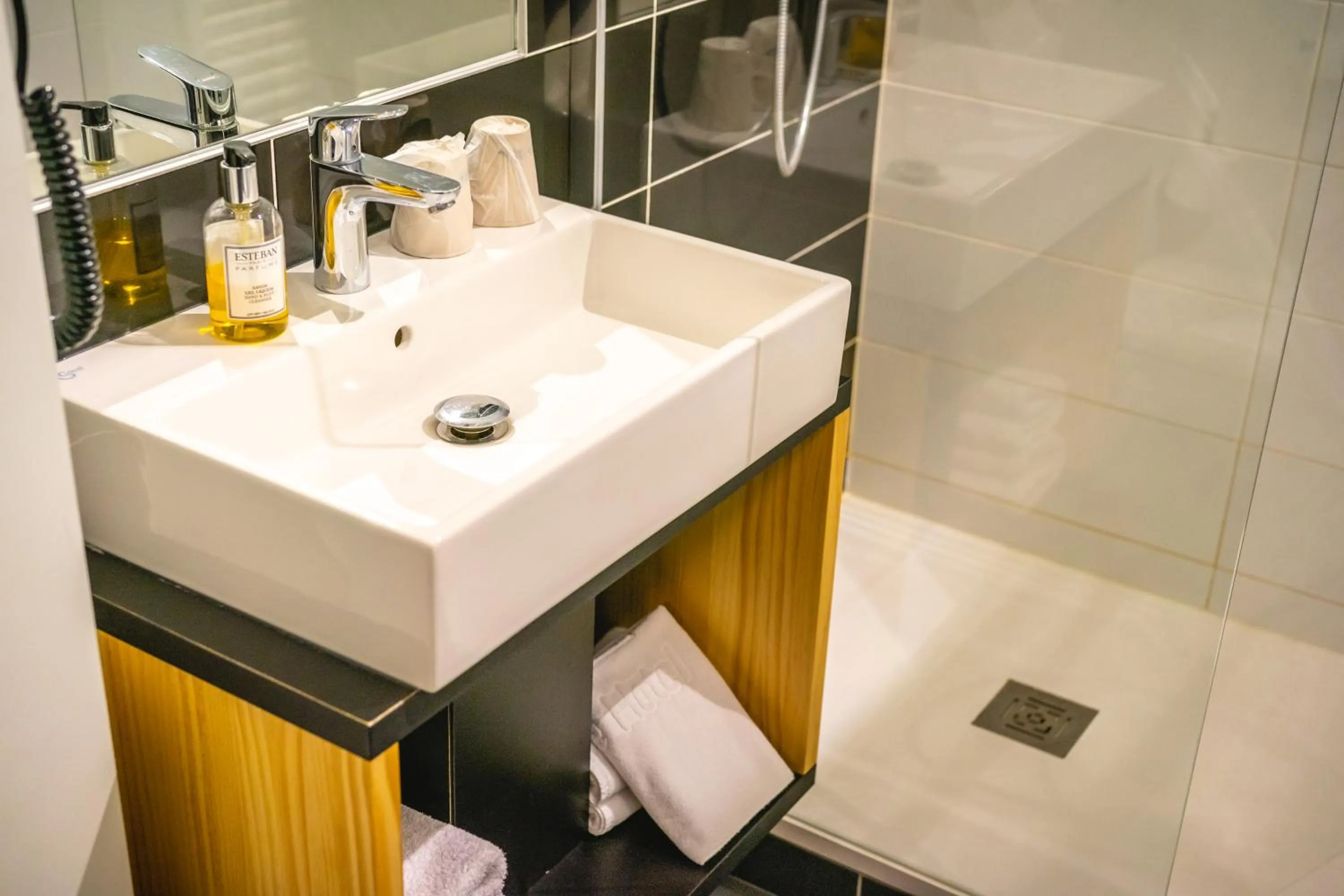 Shower in Best Western Bridge Hotel Lyon East