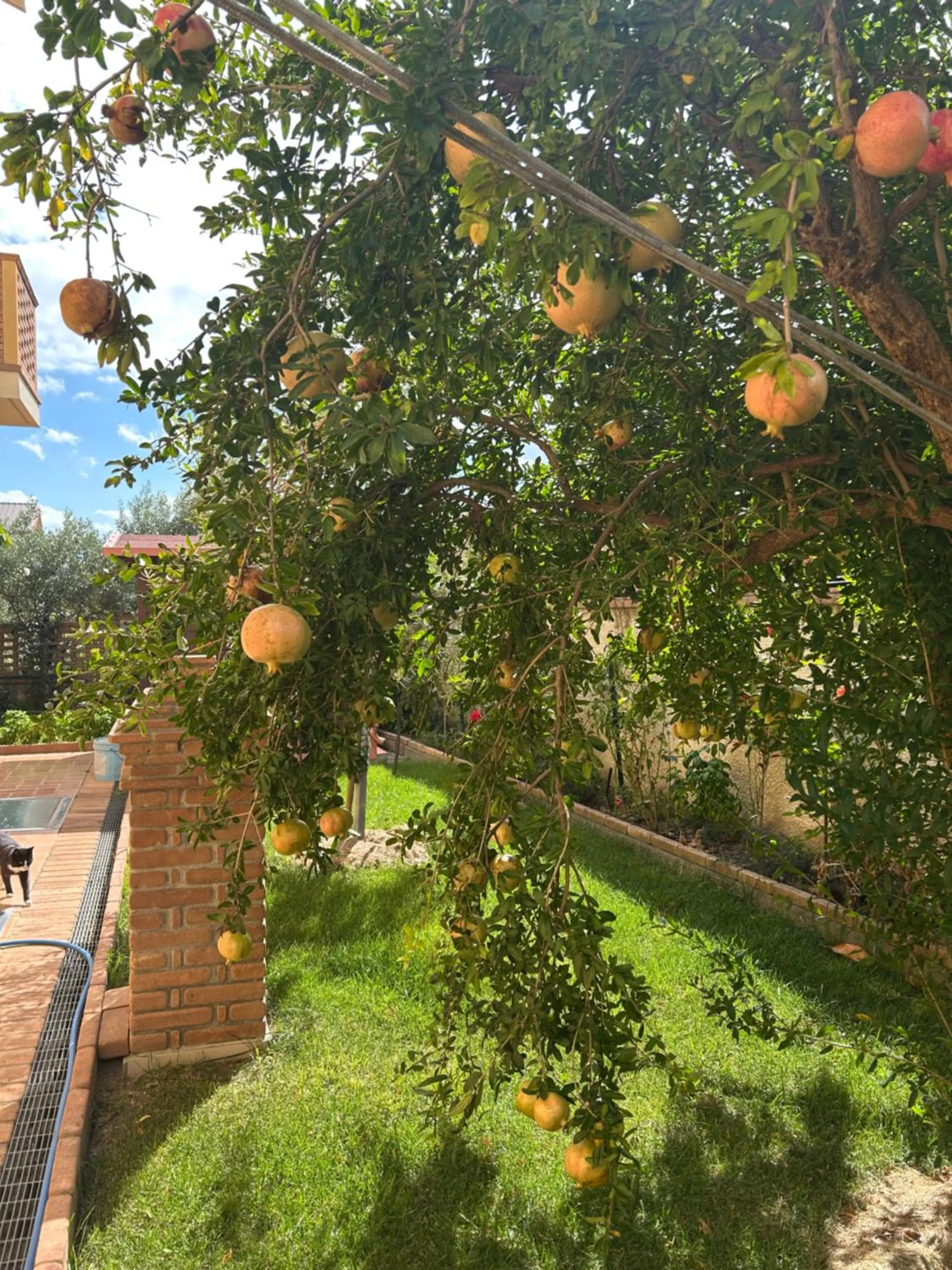 Garden in B&B Villa Maria - Martelletto di Settingiano