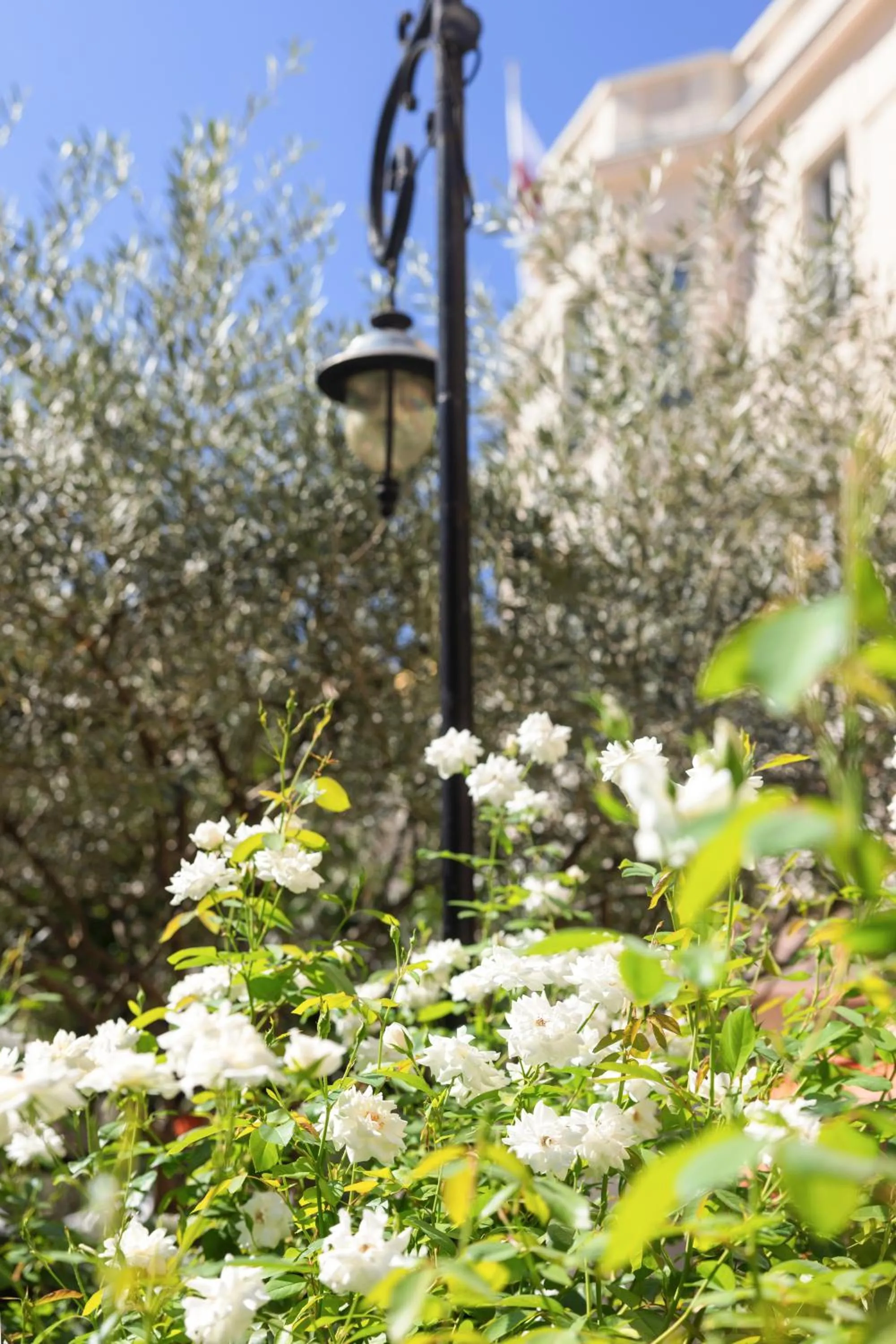 Day in Best Western Plus Hôtel Brice Garden Nice