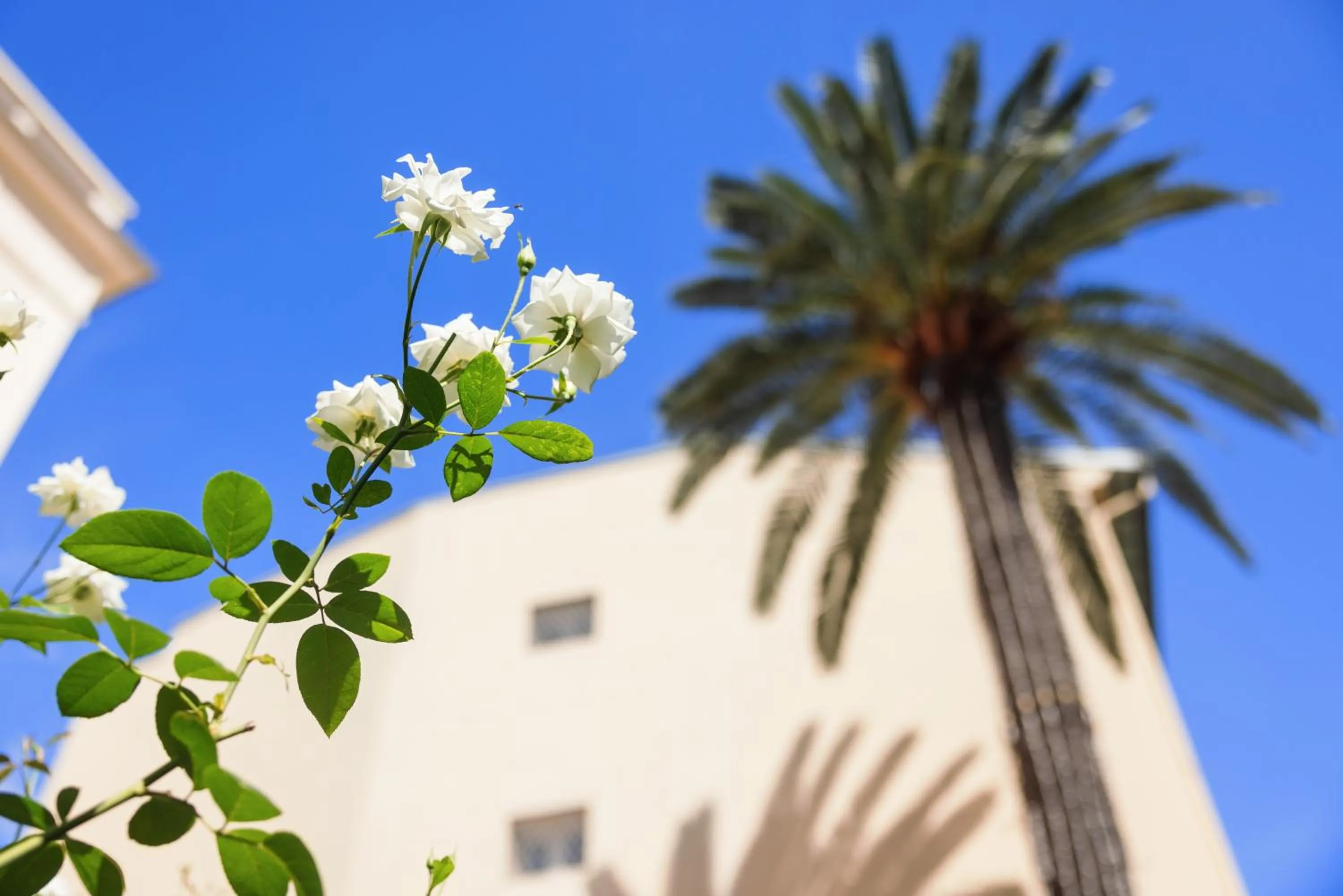 Day in Best Western Plus Hôtel Brice Garden Nice