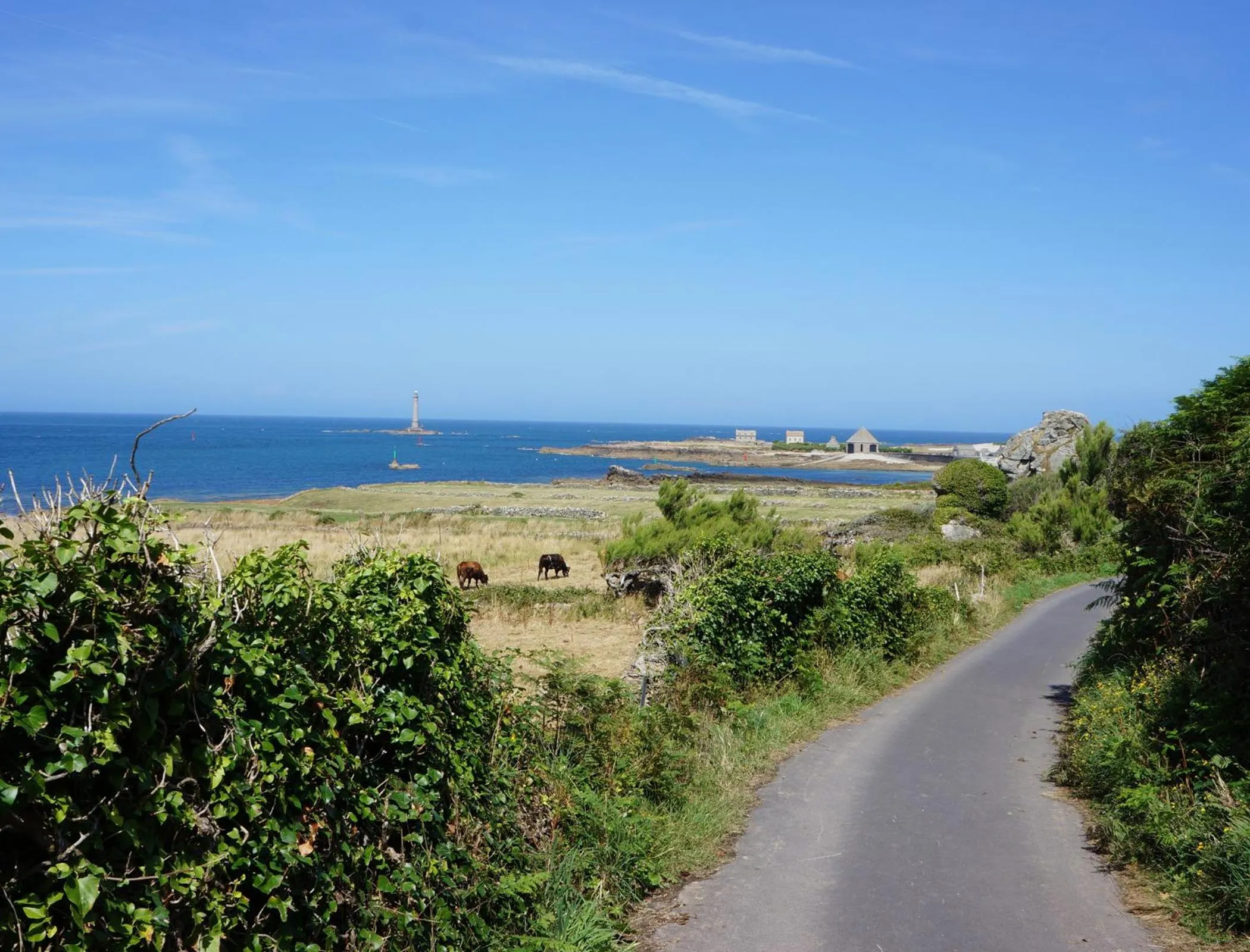 B&B Les Oiseaux de Passage