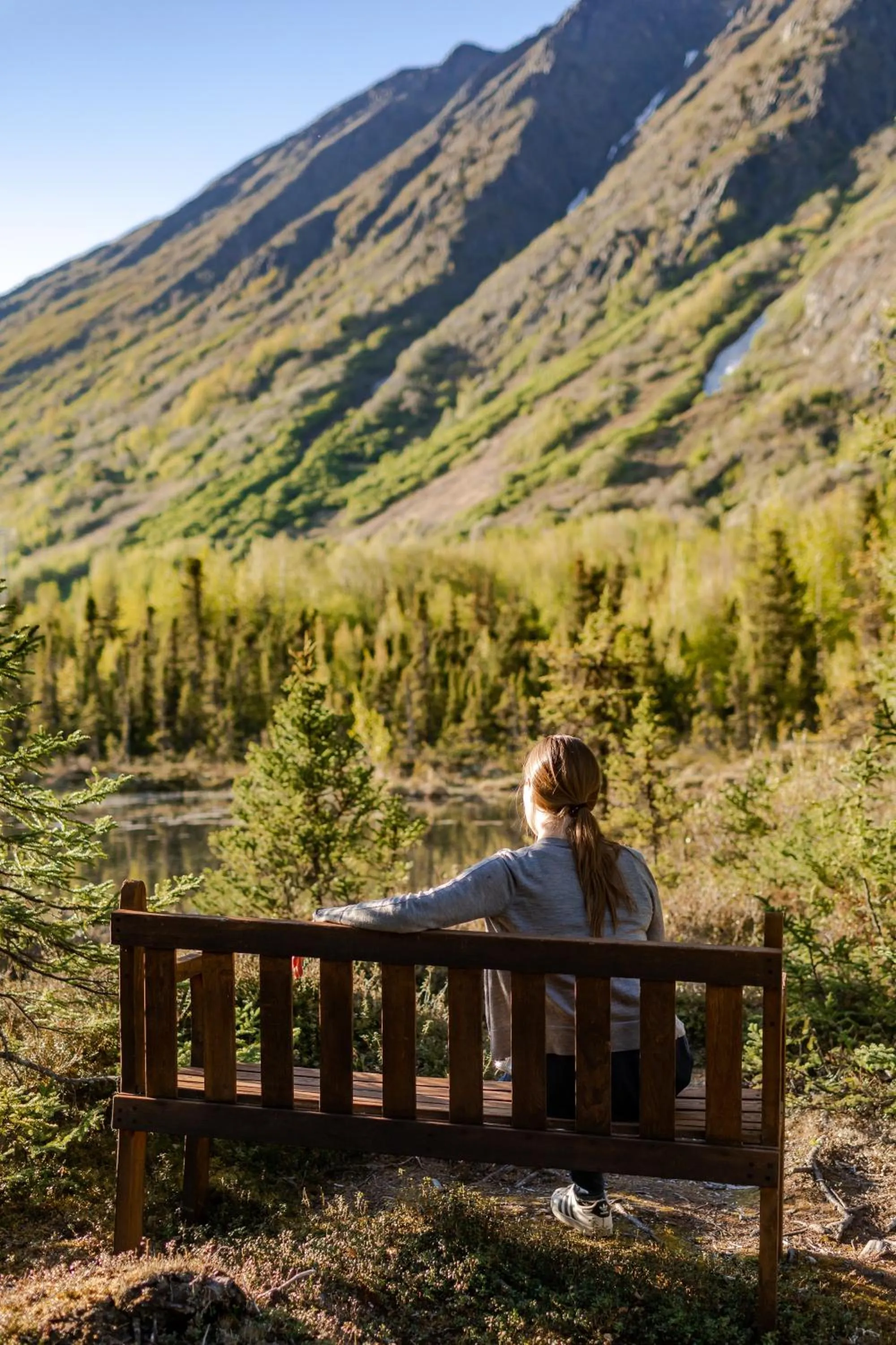 Garden in Inn at Tern Lake