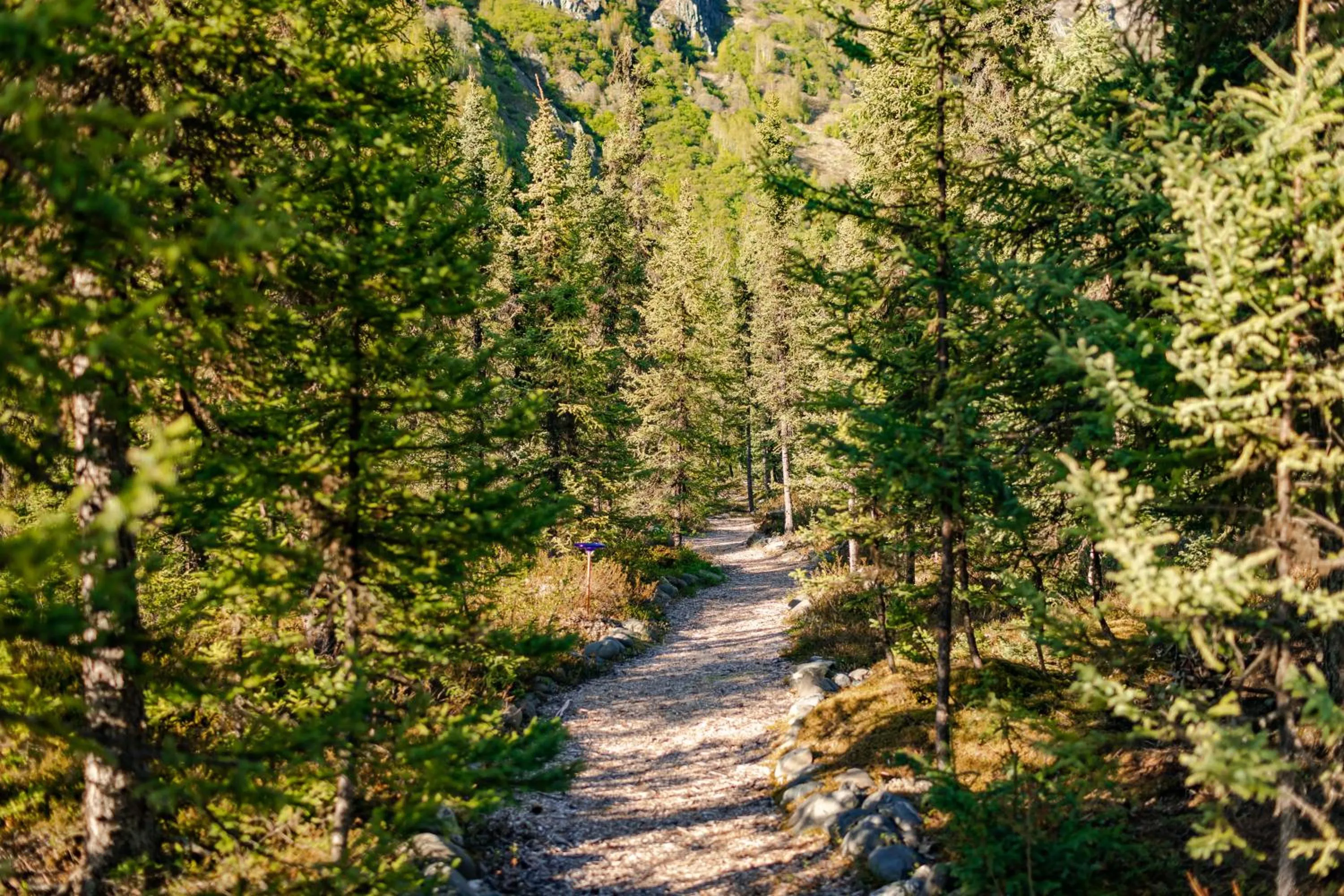 Garden in Inn at Tern Lake