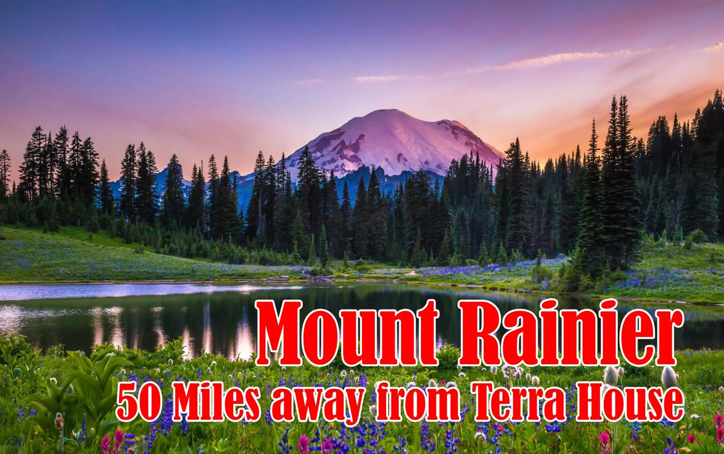 Terra House Tacoma - EV Power Station, Crib, Stroller, High Chair