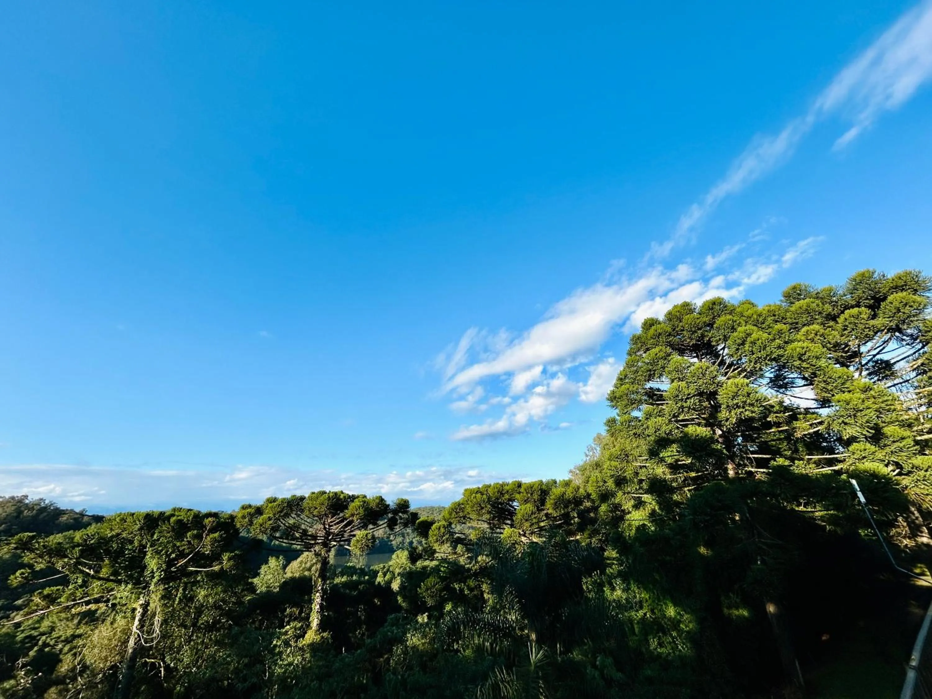 Samuara Hotel Caxias do Sul