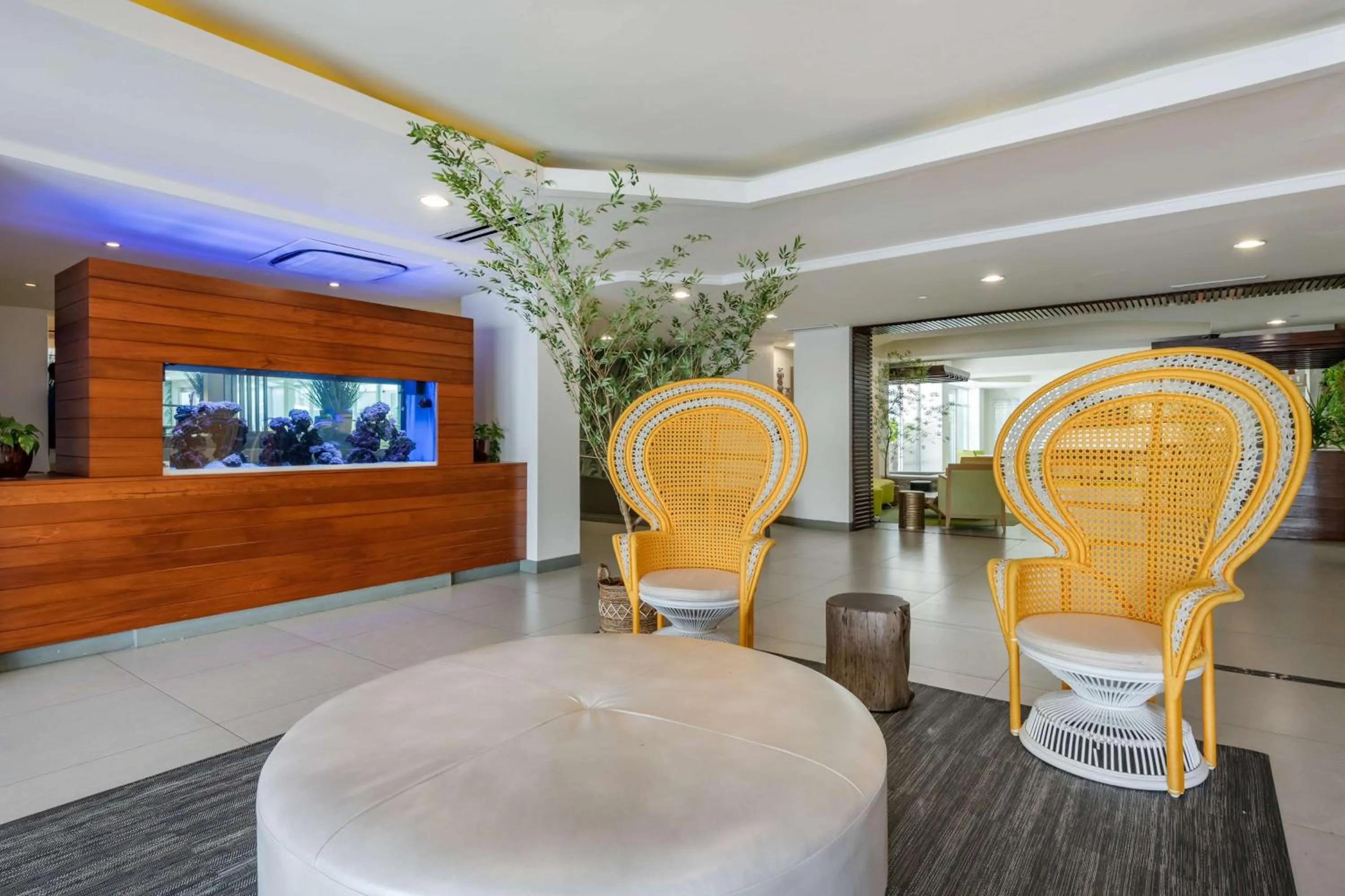 Lobby or reception in Condado Palm Inn San Juan, Tapestry Collection by Hilton