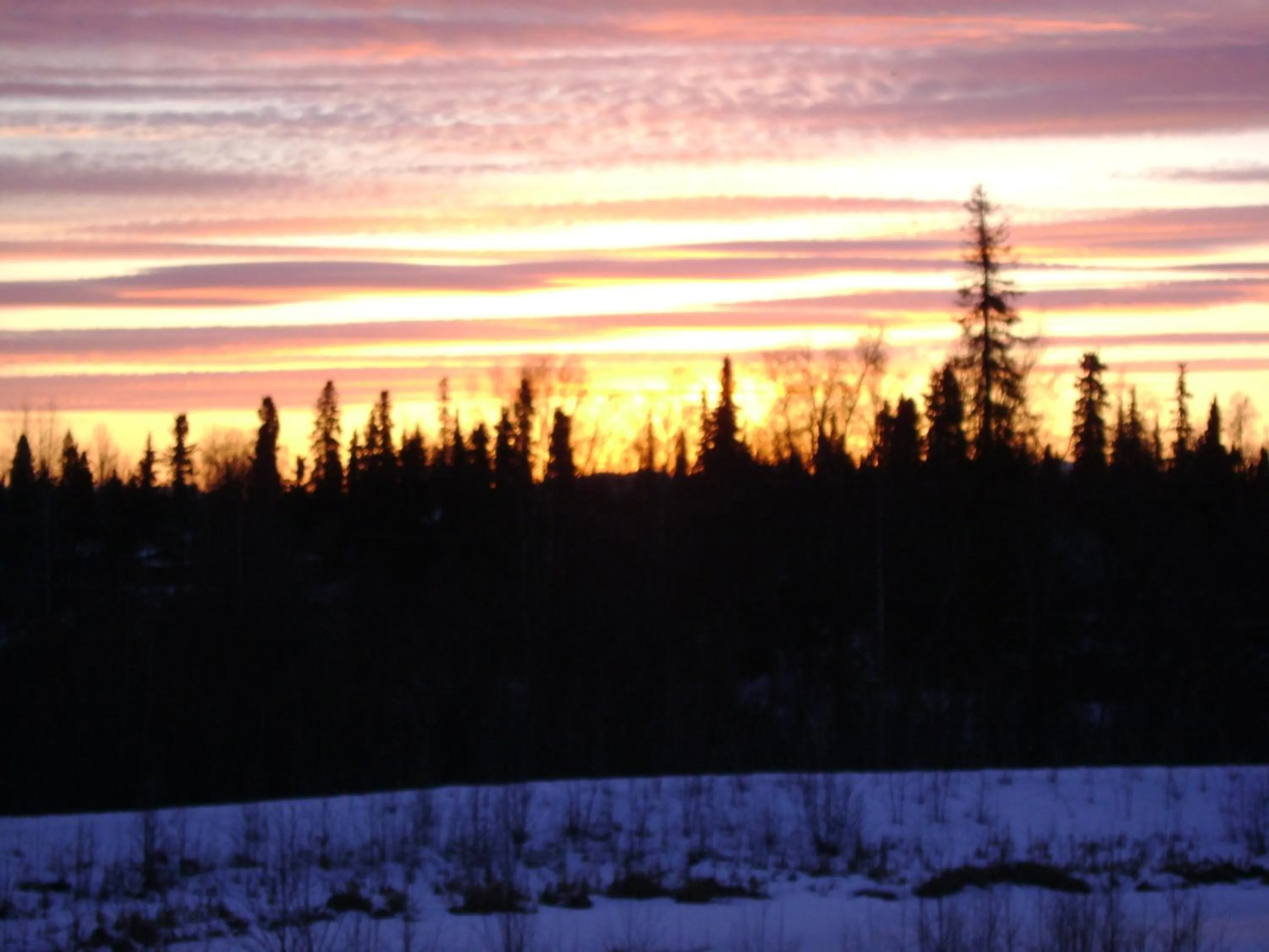 Area and facilities in Aspen Hotel