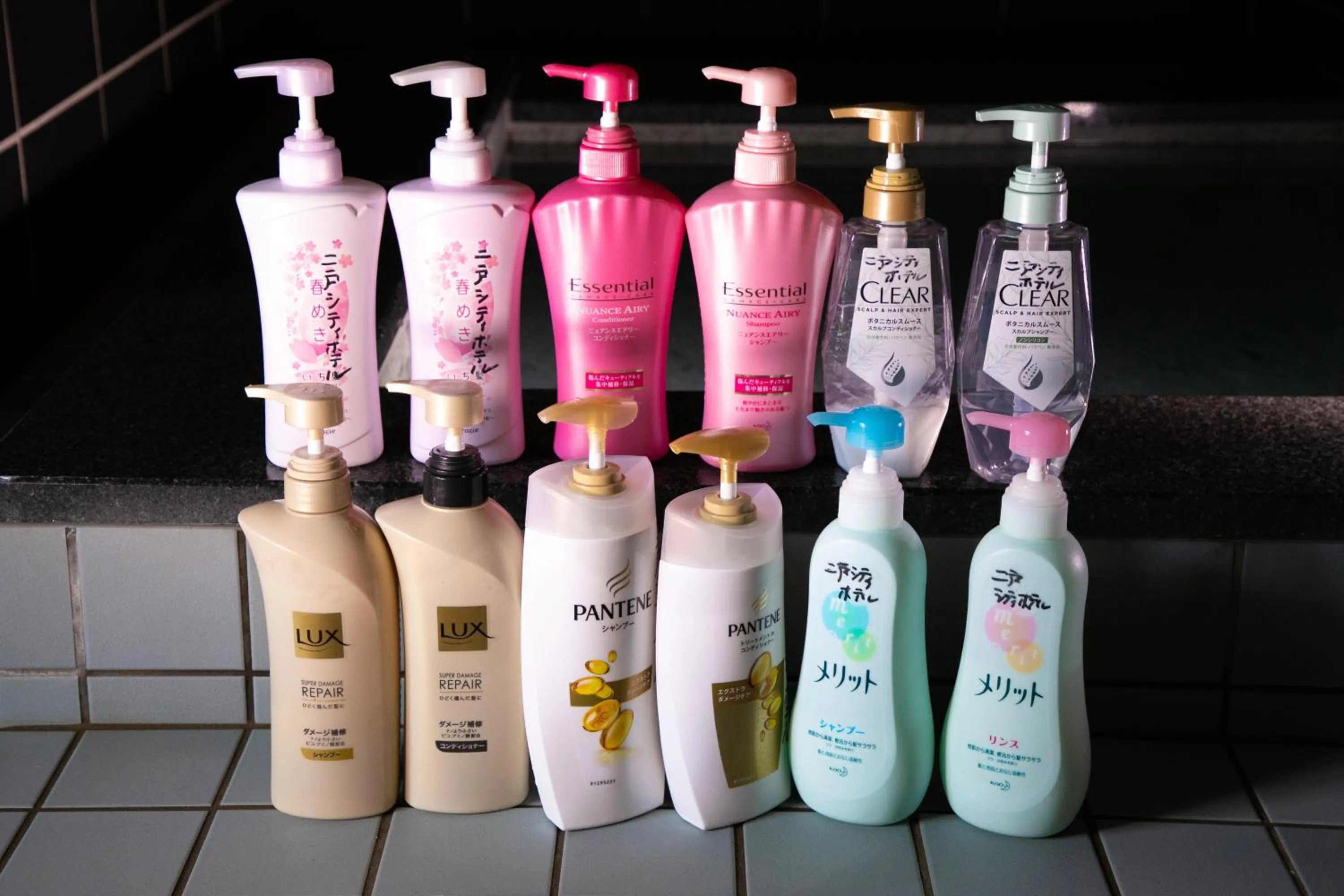 Public Bath in Ninohe City Hotel