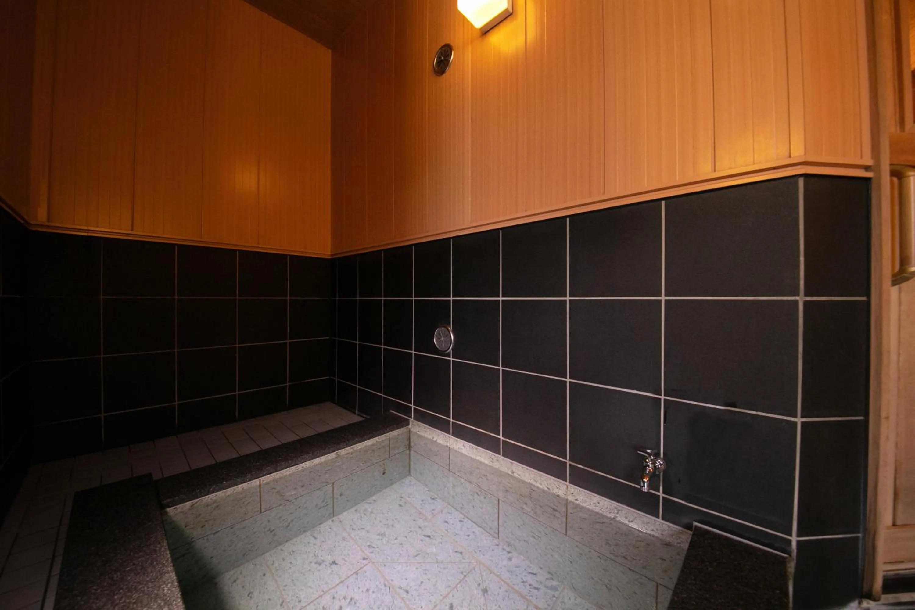 Sauna in Ninohe City Hotel
