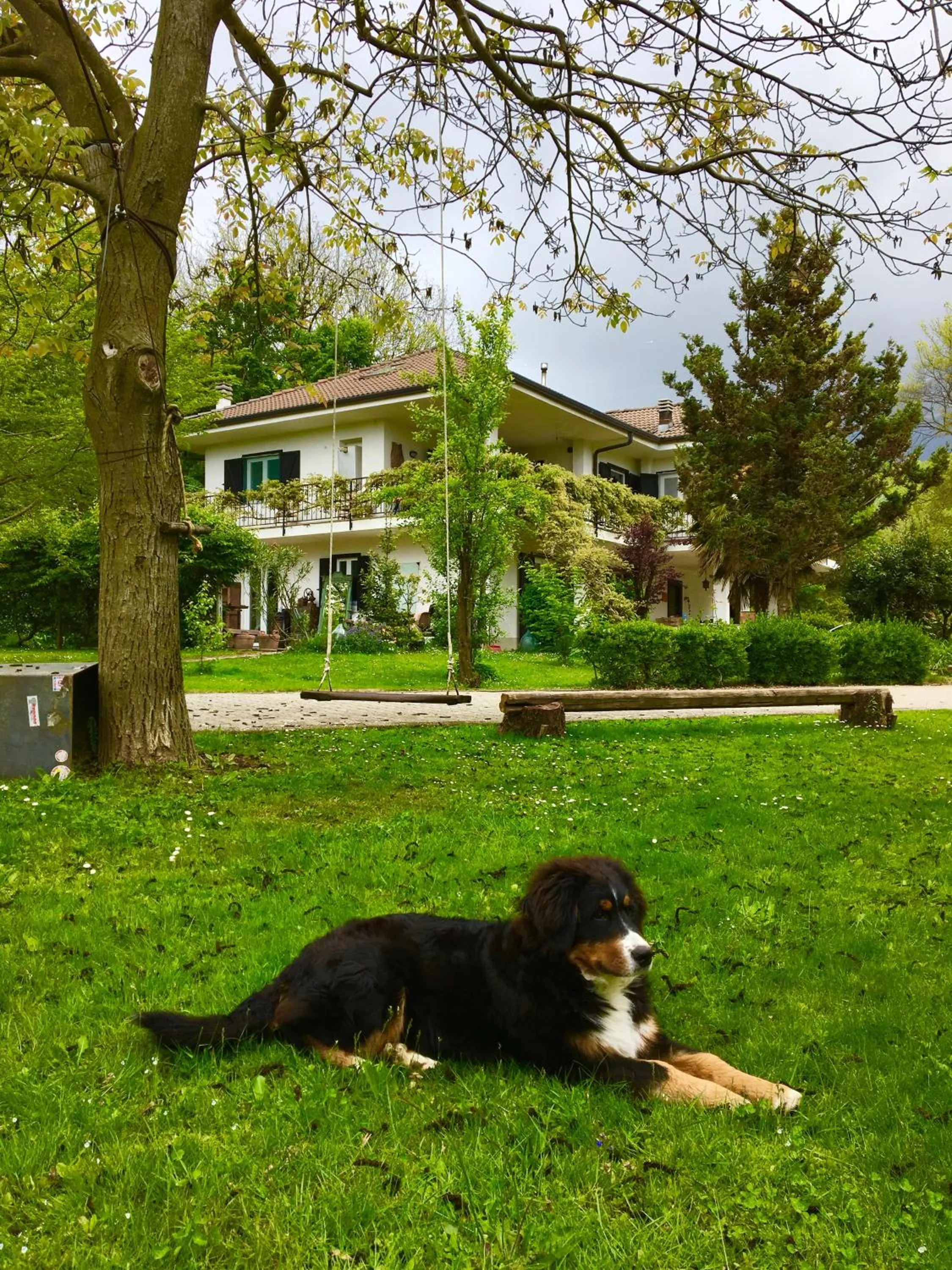 Garden in B&B La libellula