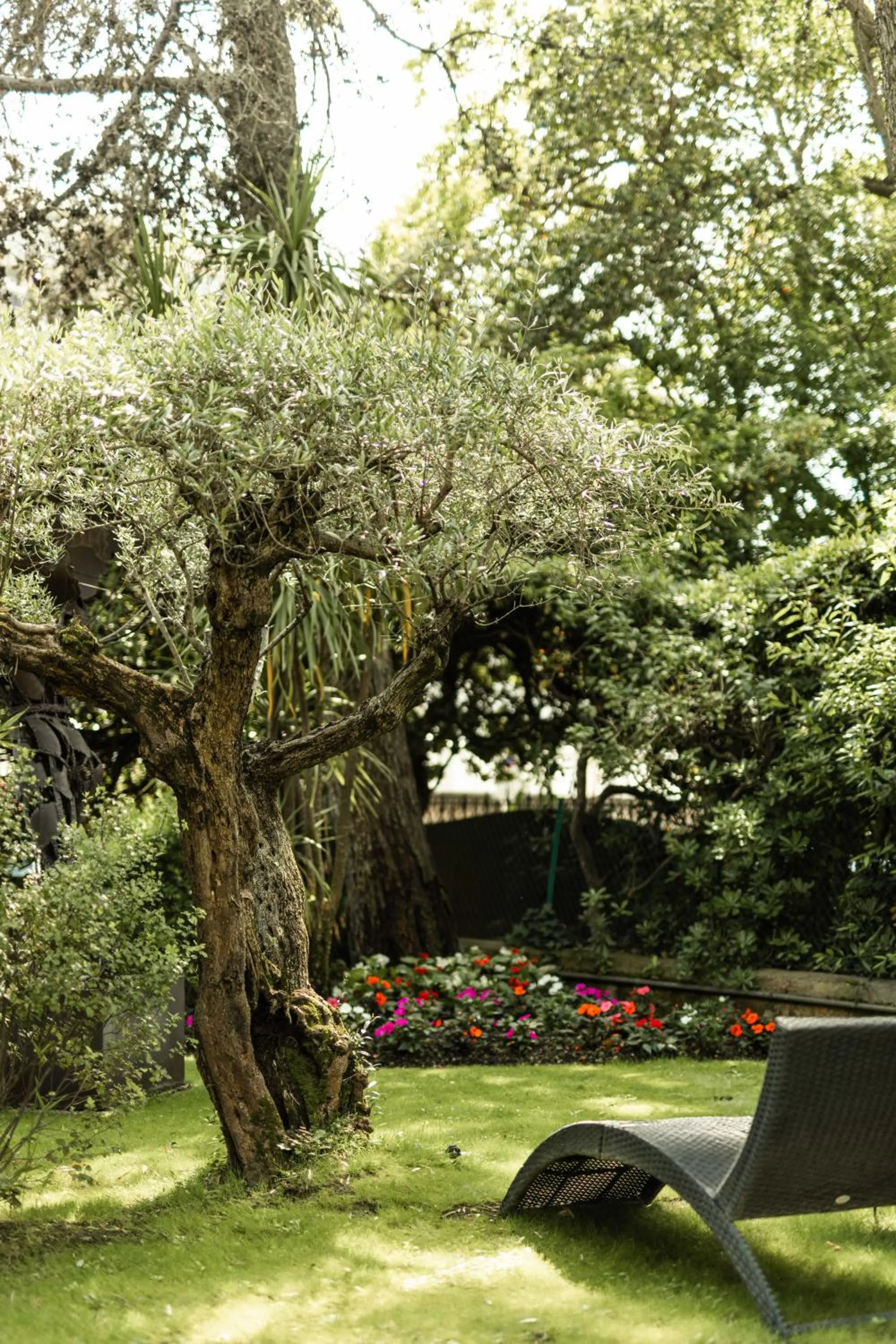 Garden in Cézanne Hôtel