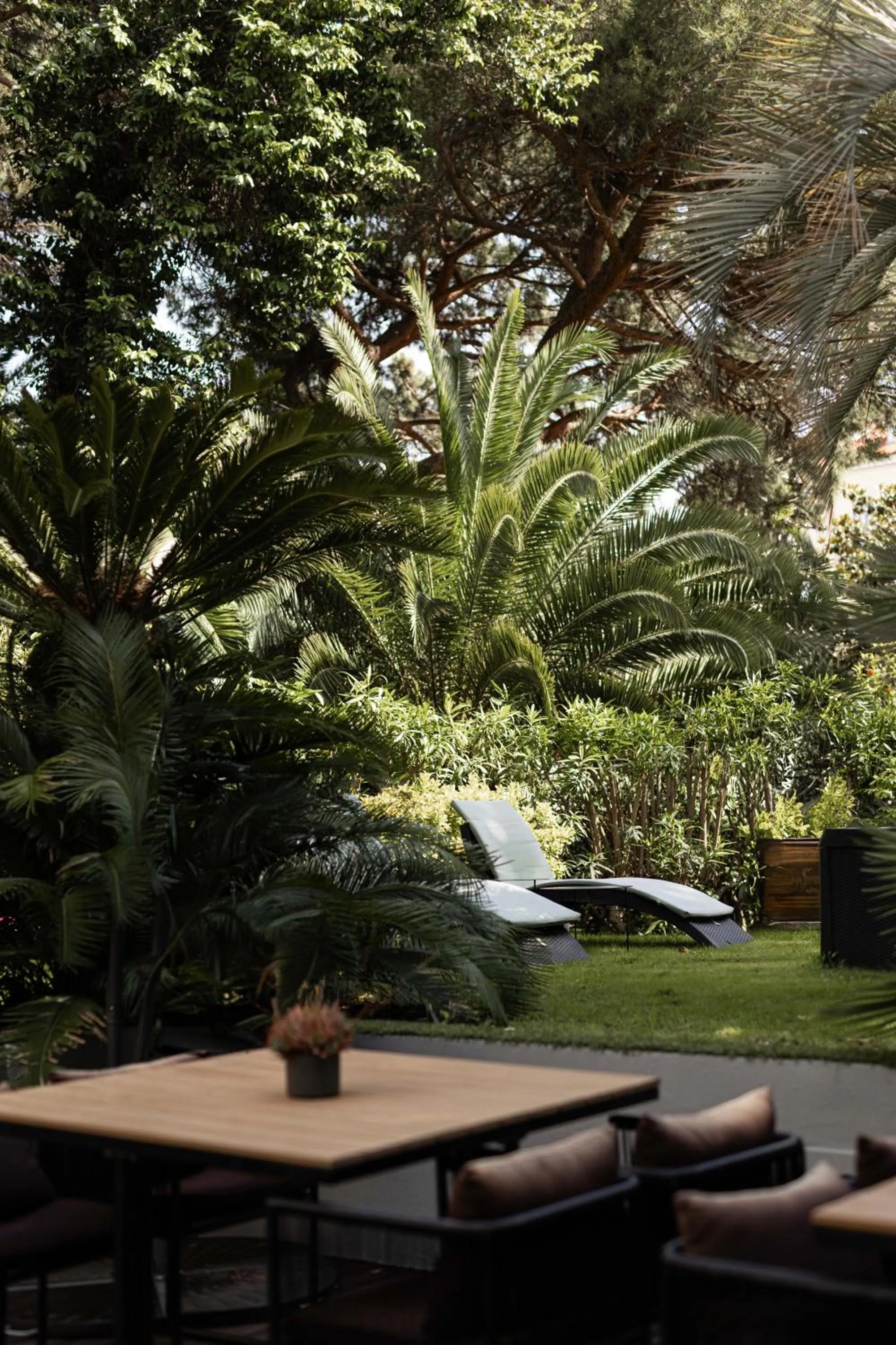 Garden in Cézanne Hôtel