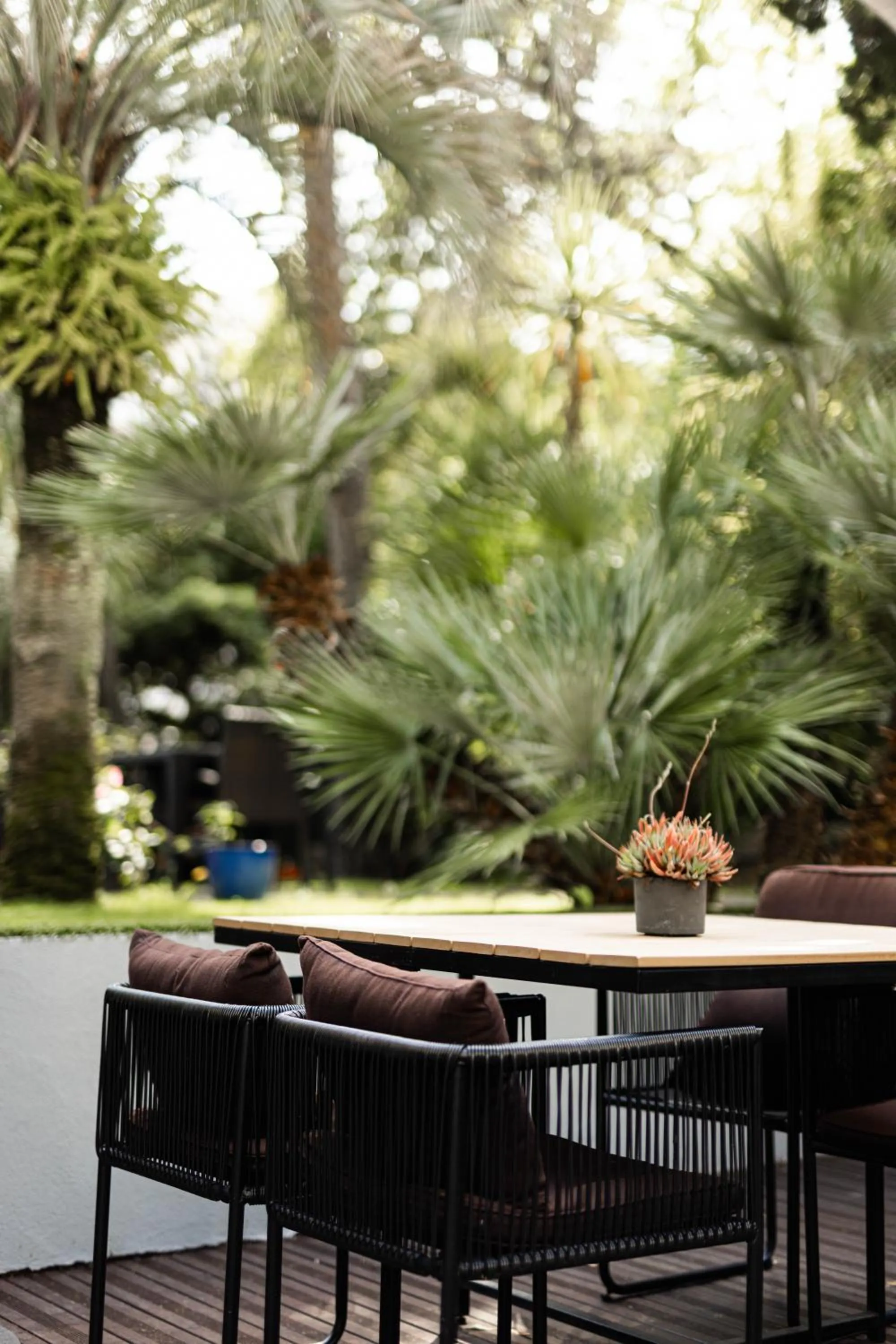 Balcony/Terrace in Cézanne Hôtel