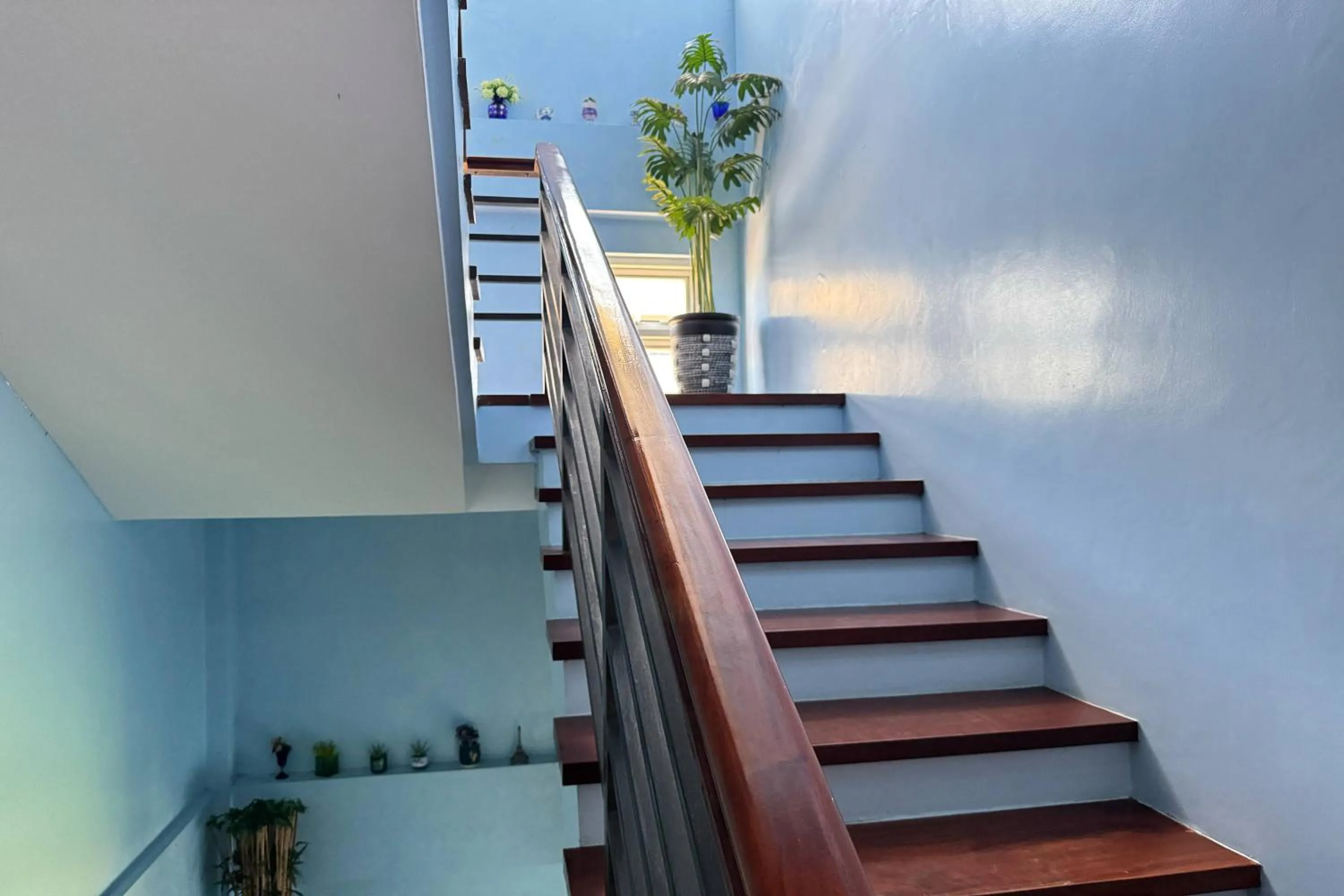 Area and facilities in OveMar Resort Hotel near Vigan