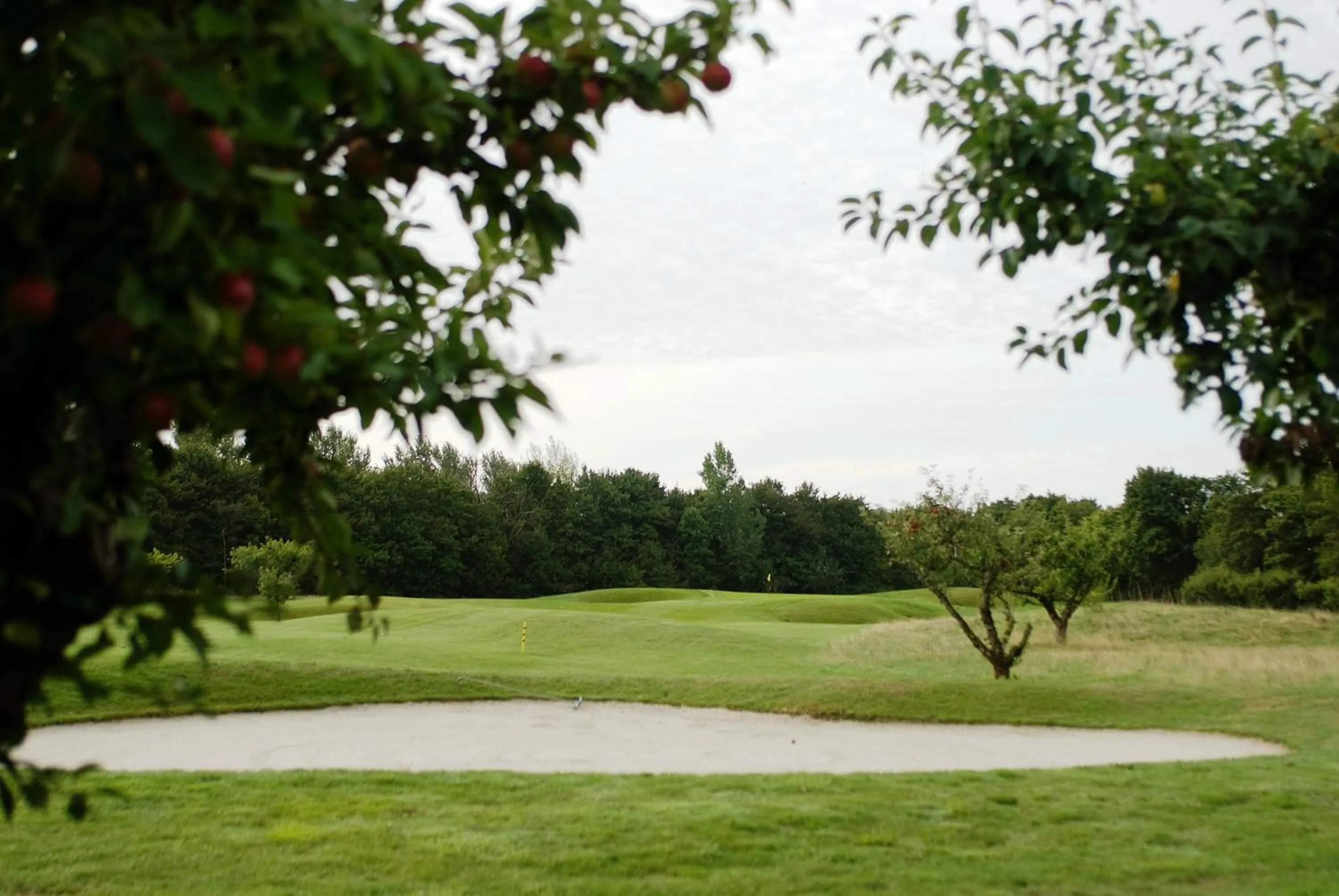 Area and facilities in Abbekås Golfrestaurang & Hotell
