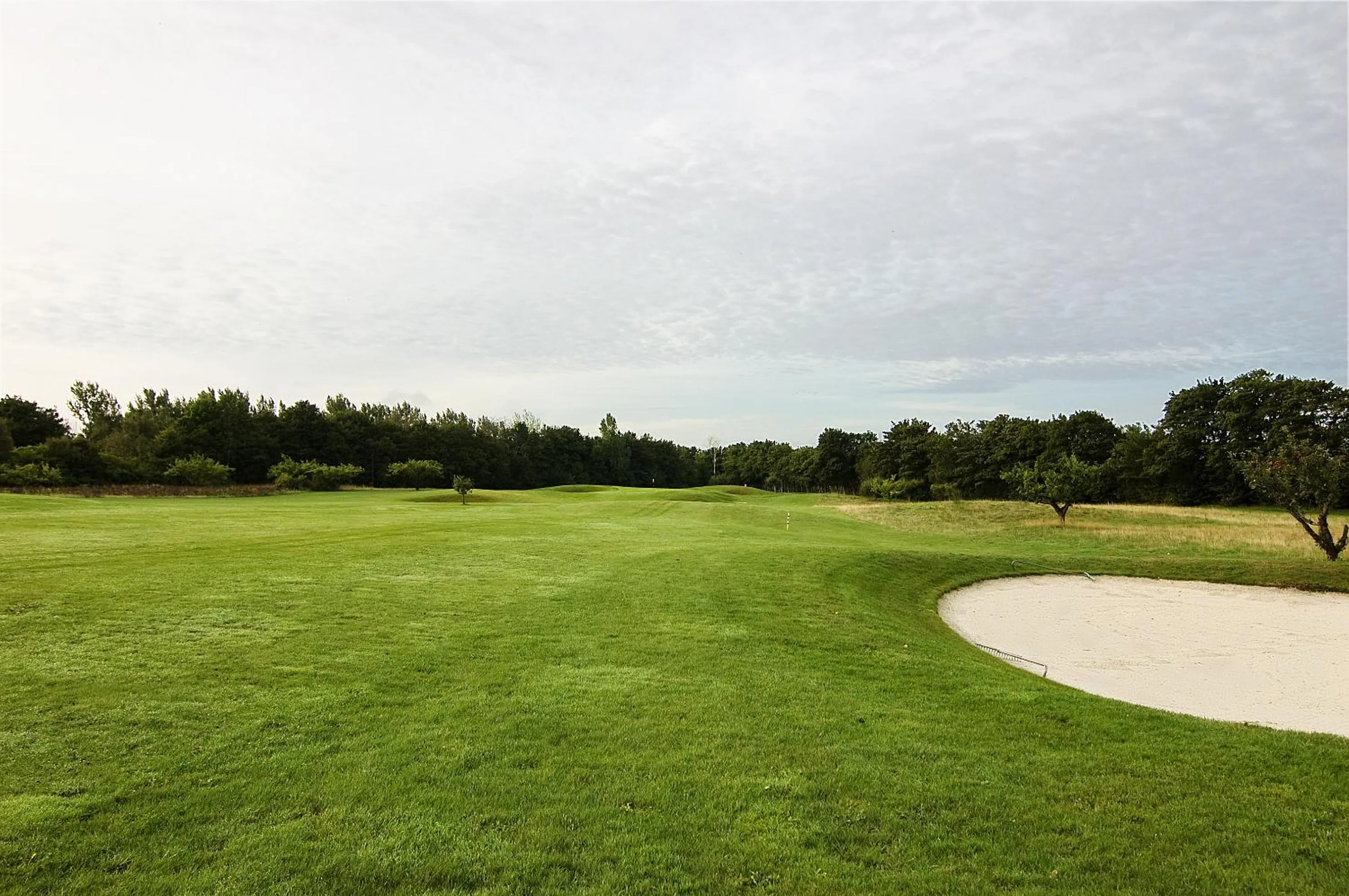 Area and facilities in Abbekås Golfrestaurang & Hotell