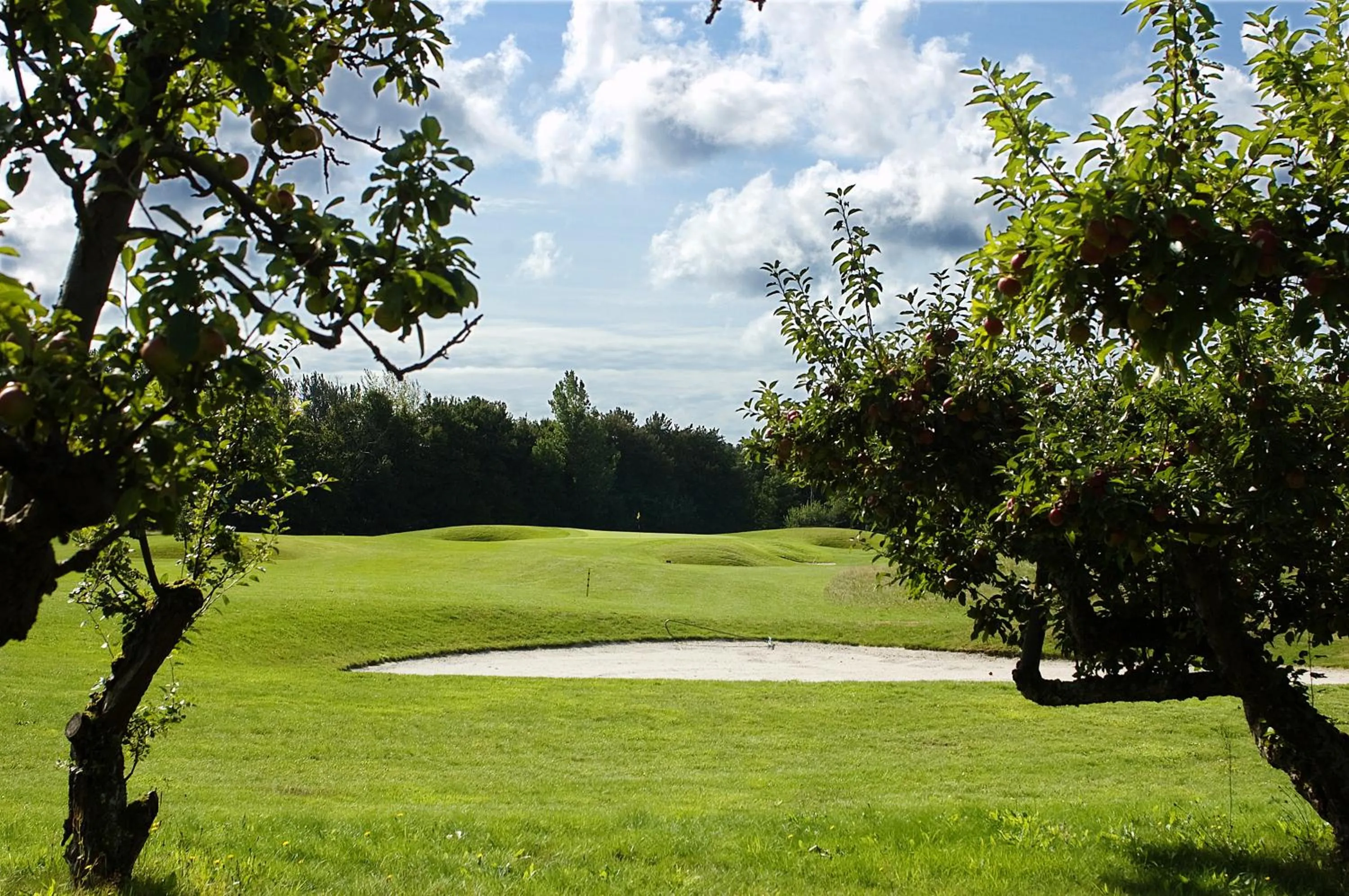 Area and facilities in Abbekås Golfrestaurang & Hotell