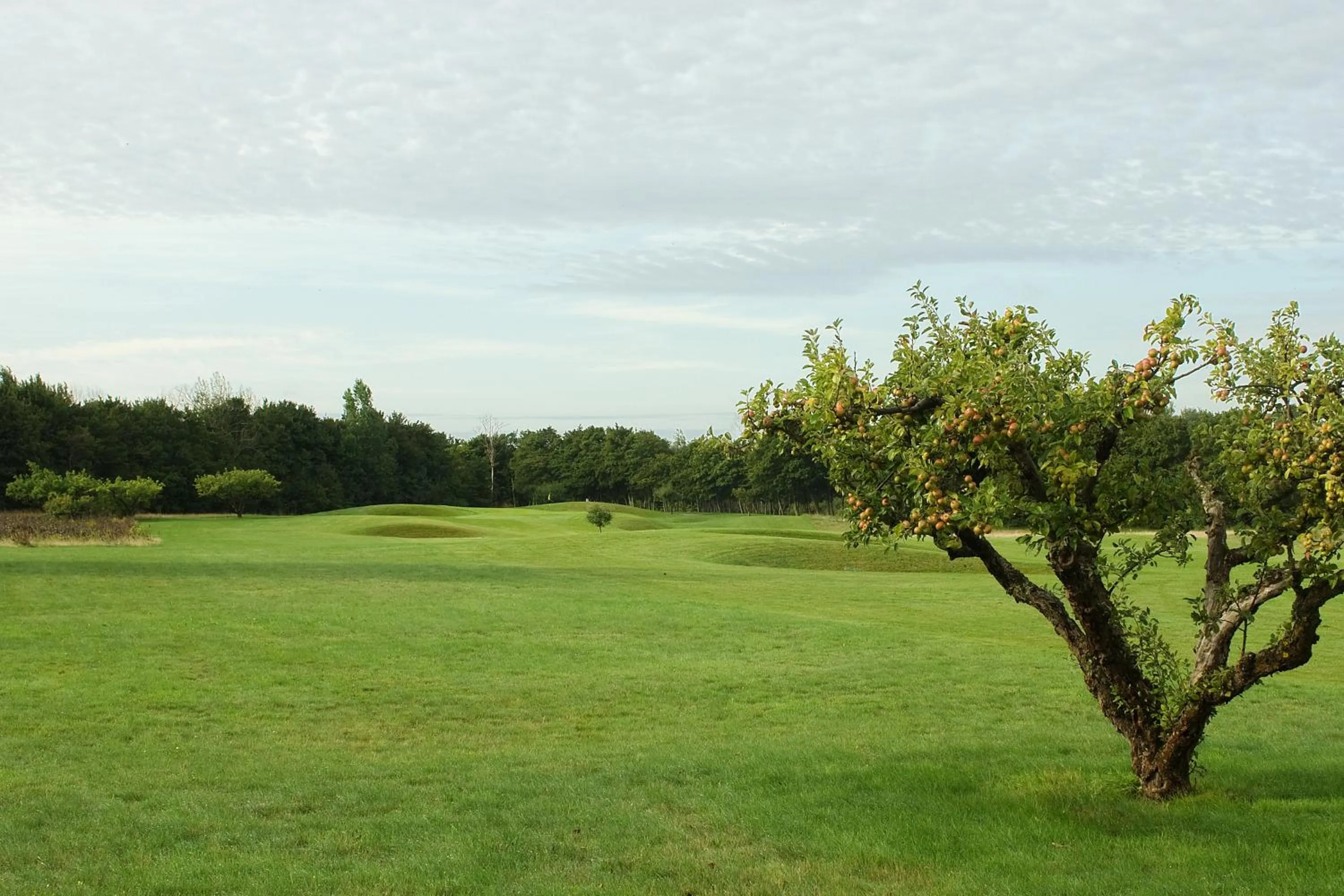 Area and facilities in Abbekås Golfrestaurang & Hotell
