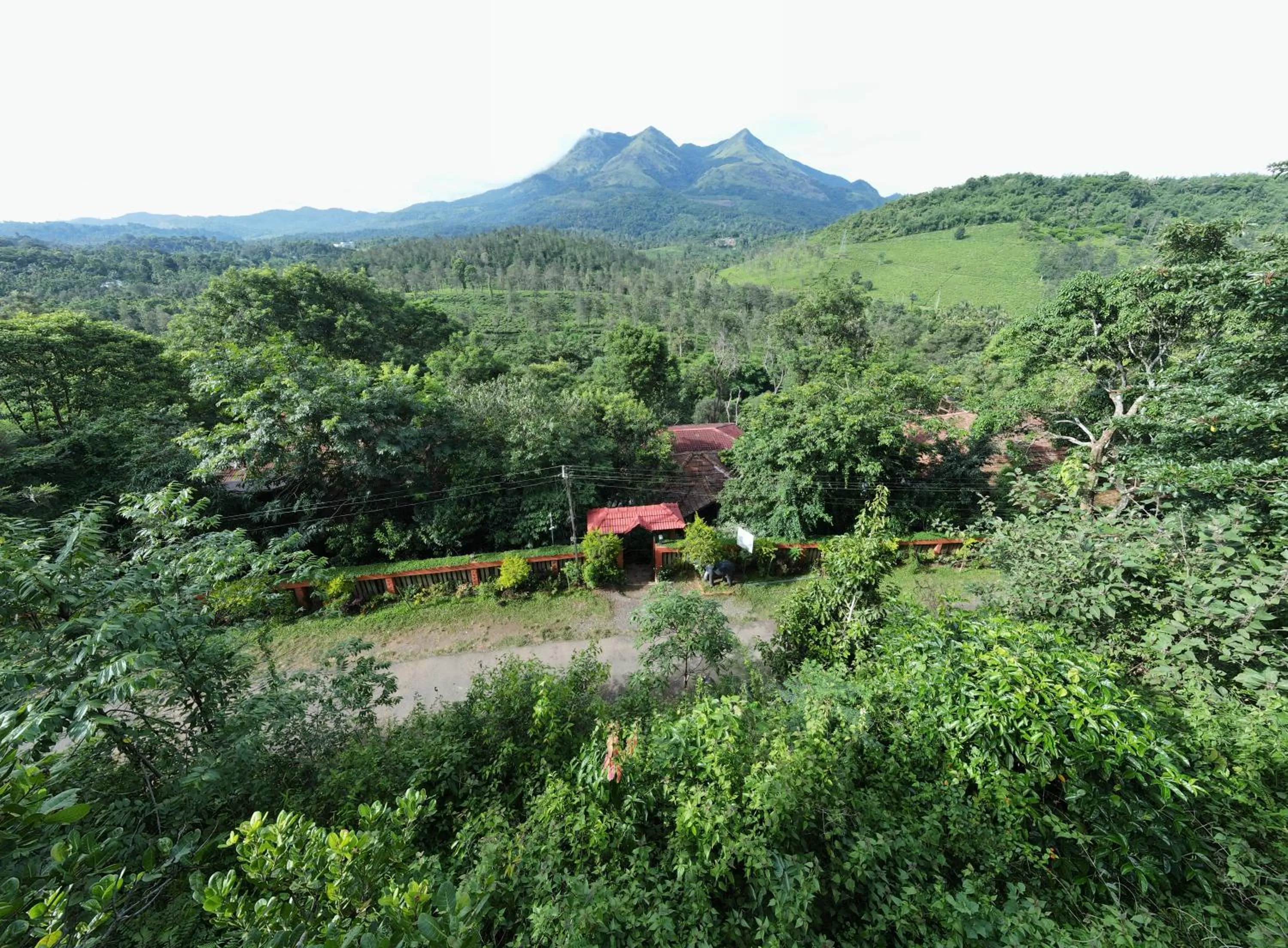 Property building in Planet Green Plantation Resorts, Wayanad, Kerala