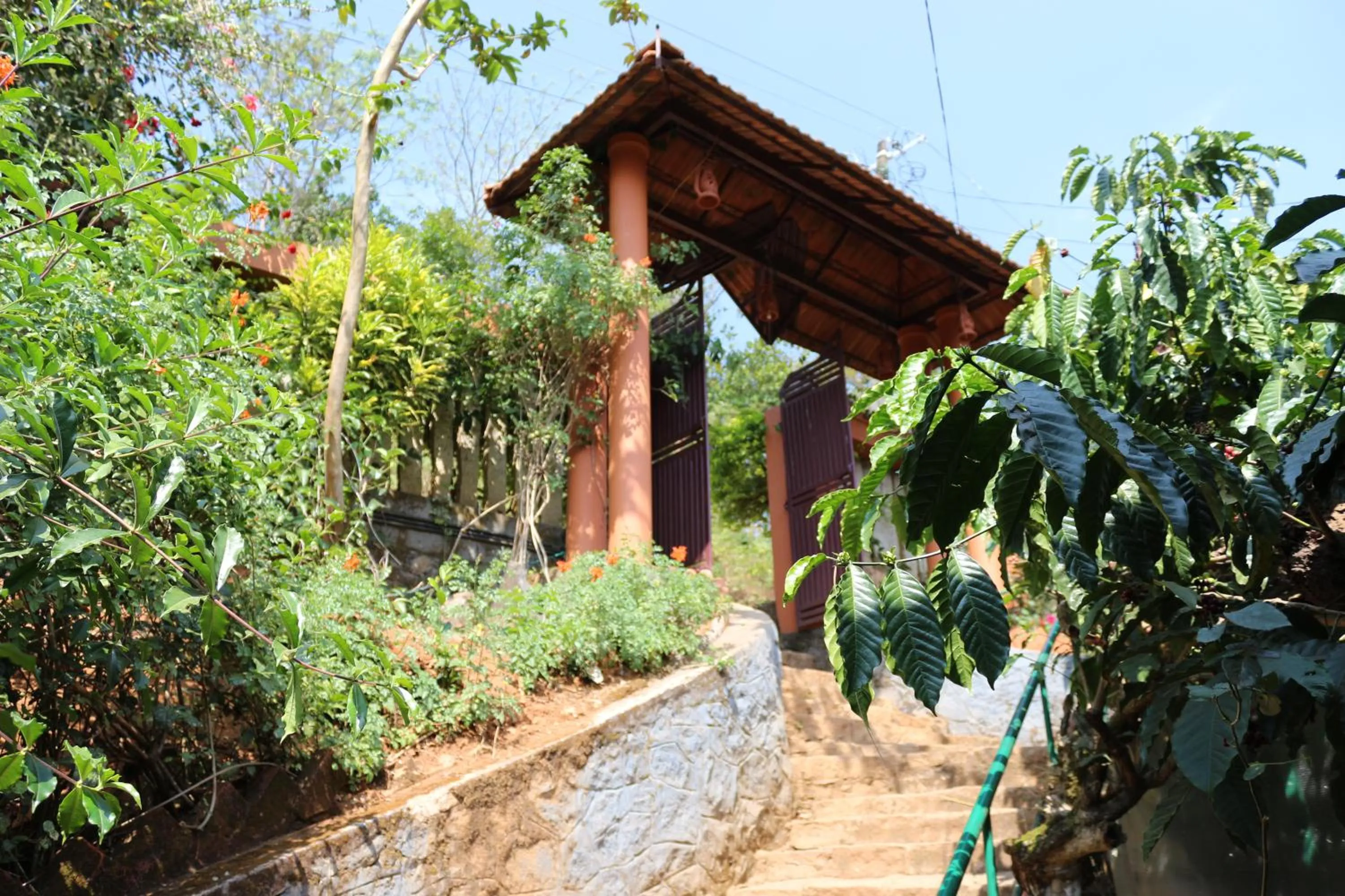 Property building in Planet Green Plantation Resorts, Wayanad, Kerala