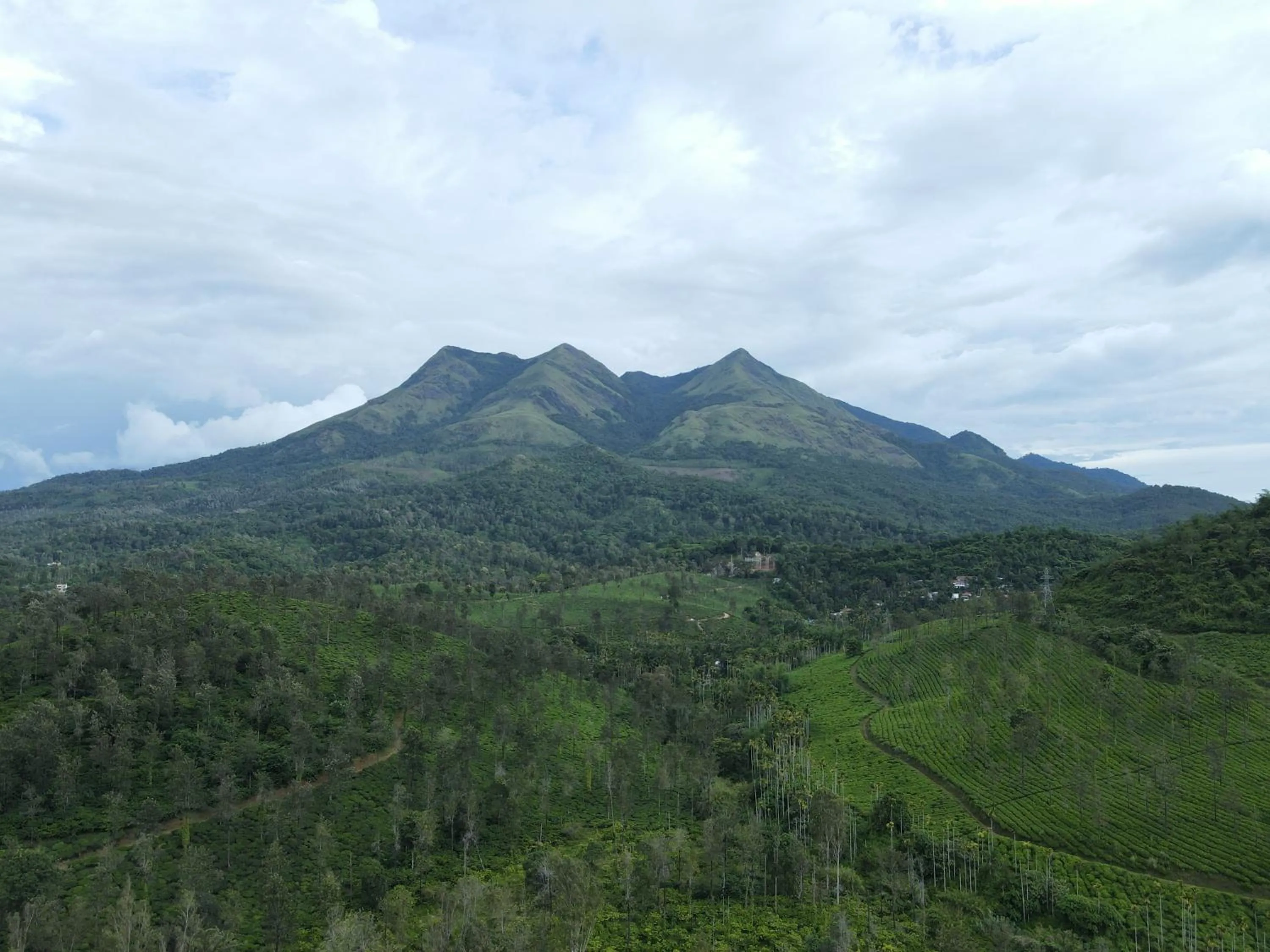 View (from property/room) in Planet Green Plantation Resorts, Wayanad, Kerala