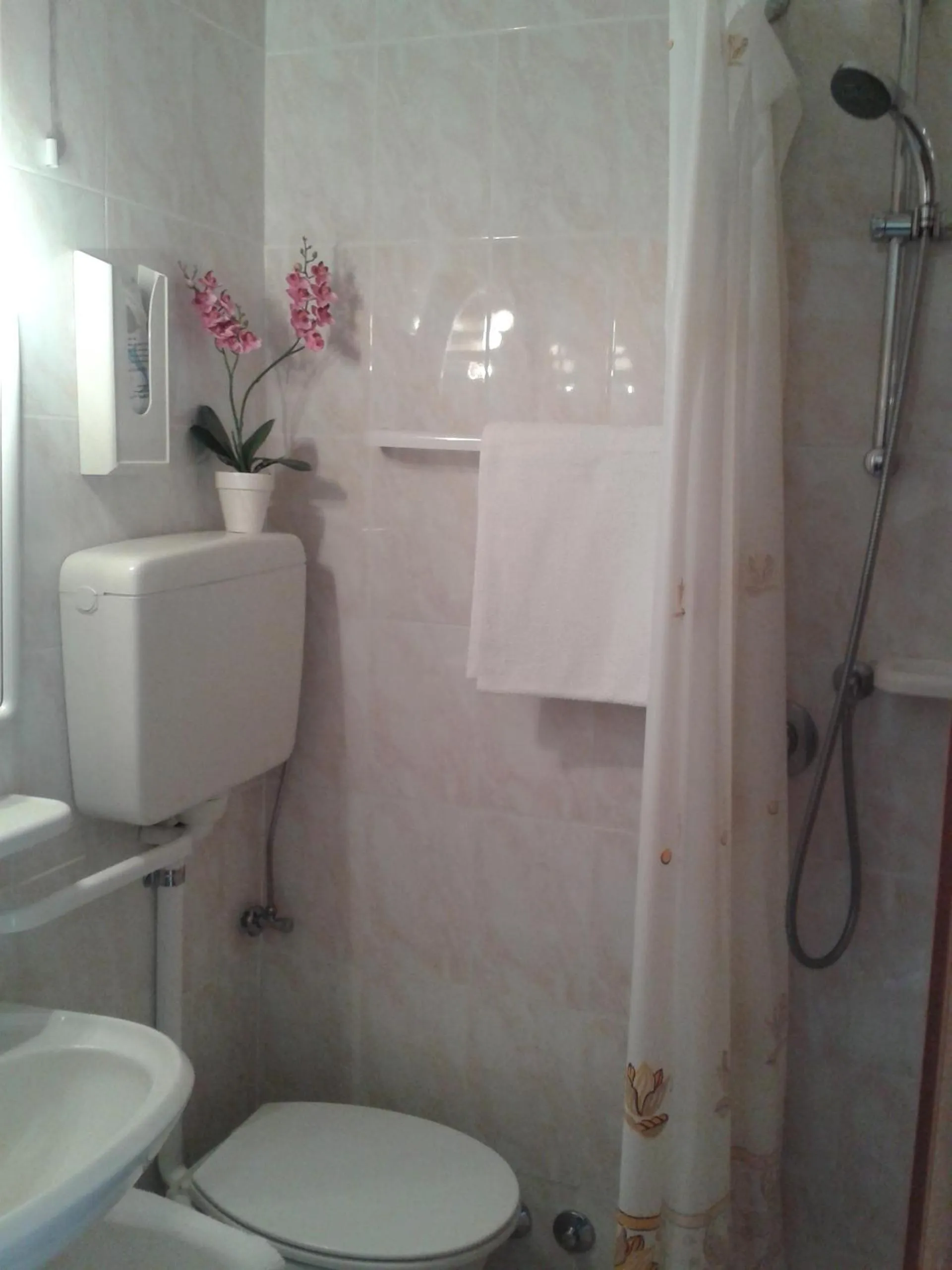 Bathroom in Hotel Paron