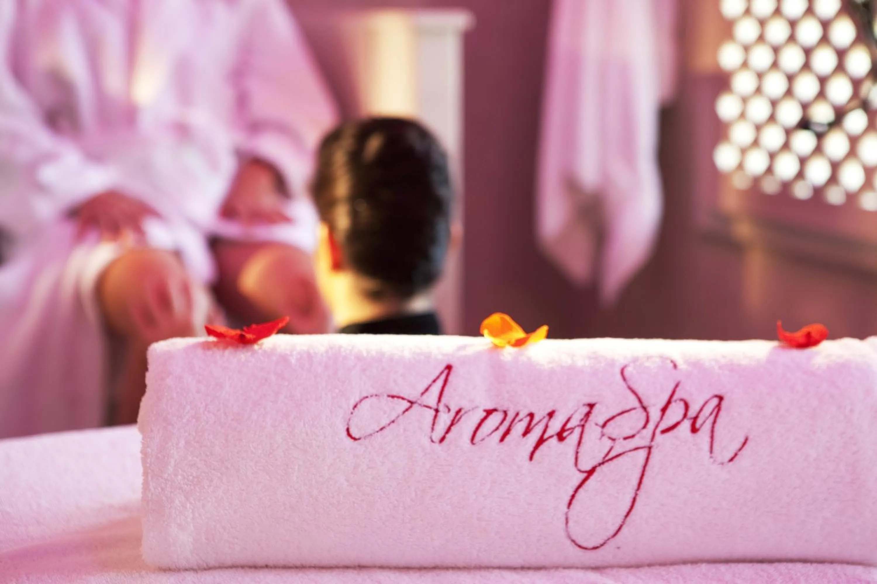 Property logo or sign in Maison Bérard Hôtel - Restaurant - Spa